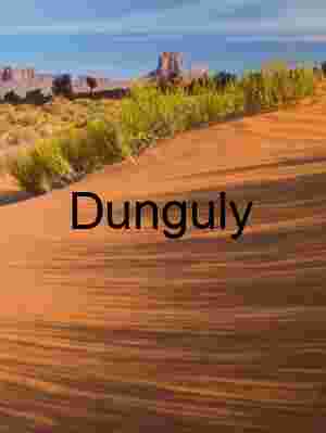 Dune grass shadows