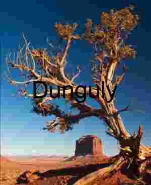 lone tree