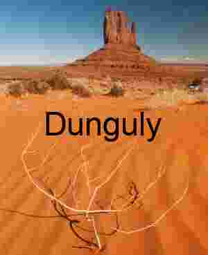 Mitten and dunes