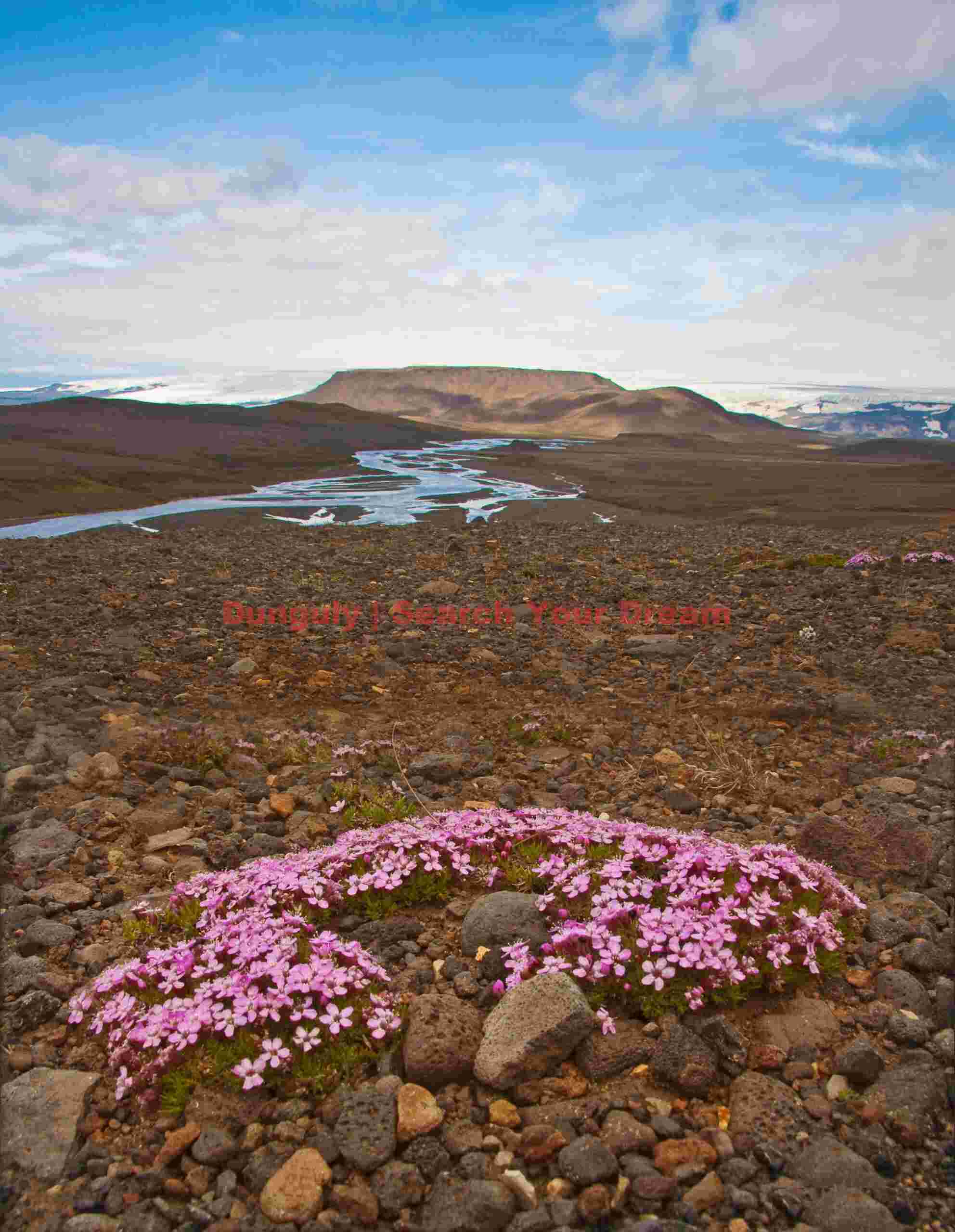 A rare splash of color, Kjolur route ; Iceland Glacial Ice Formation at A rare splash of color, Kjolur route