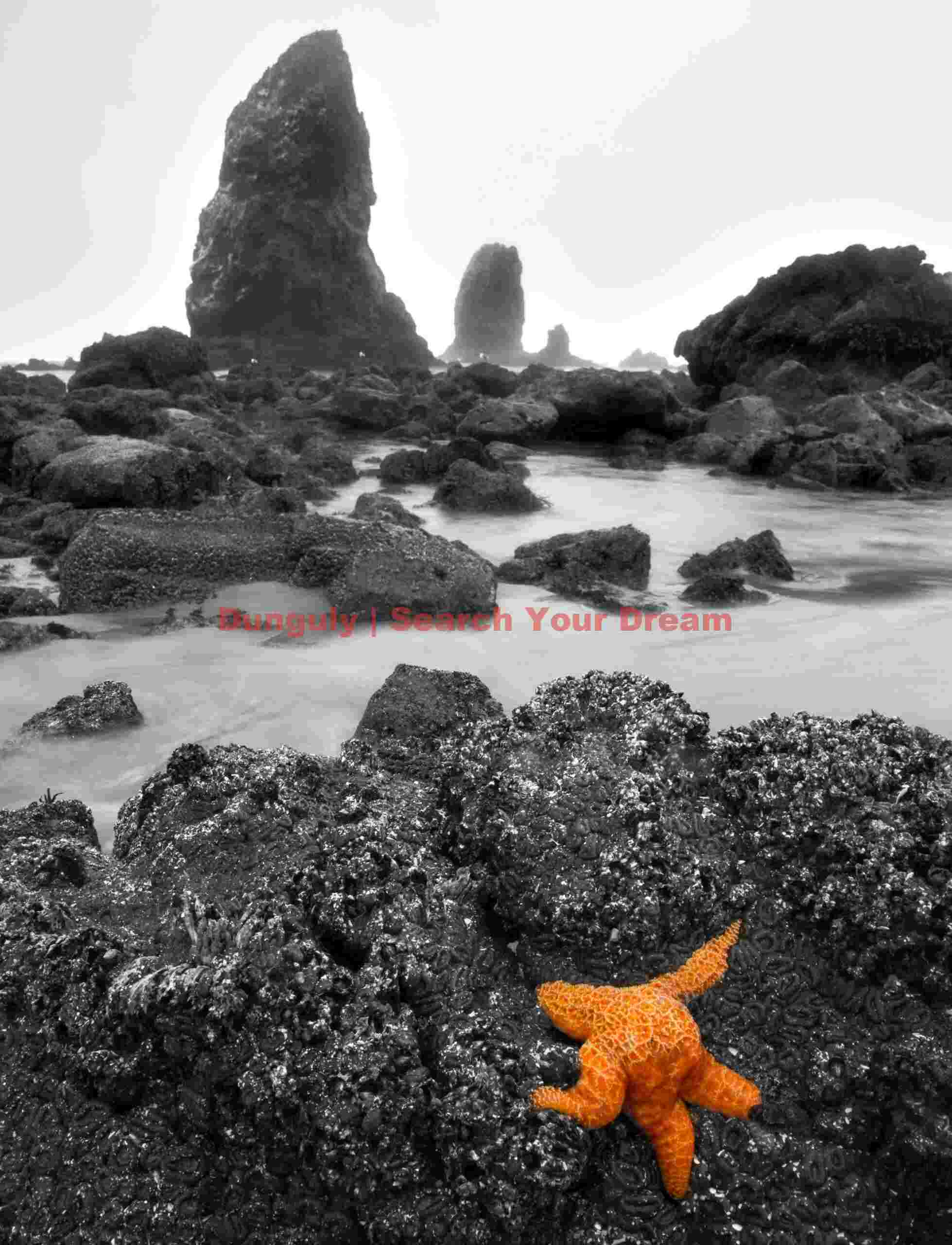 A splash of color in a monochrome seascape, Needles, Cannon Beach, Oregon Colorful Coastal Accent