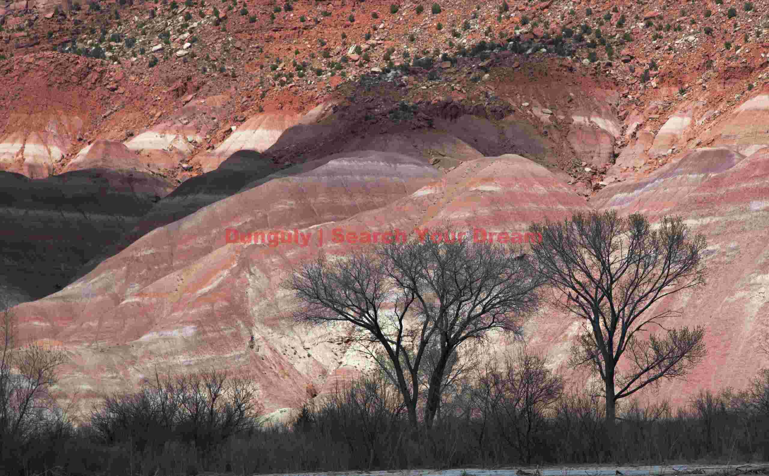 Badlands trees - negative; Old Pareah Townsite, Utah Twisted Trees Against Eroded Badlands