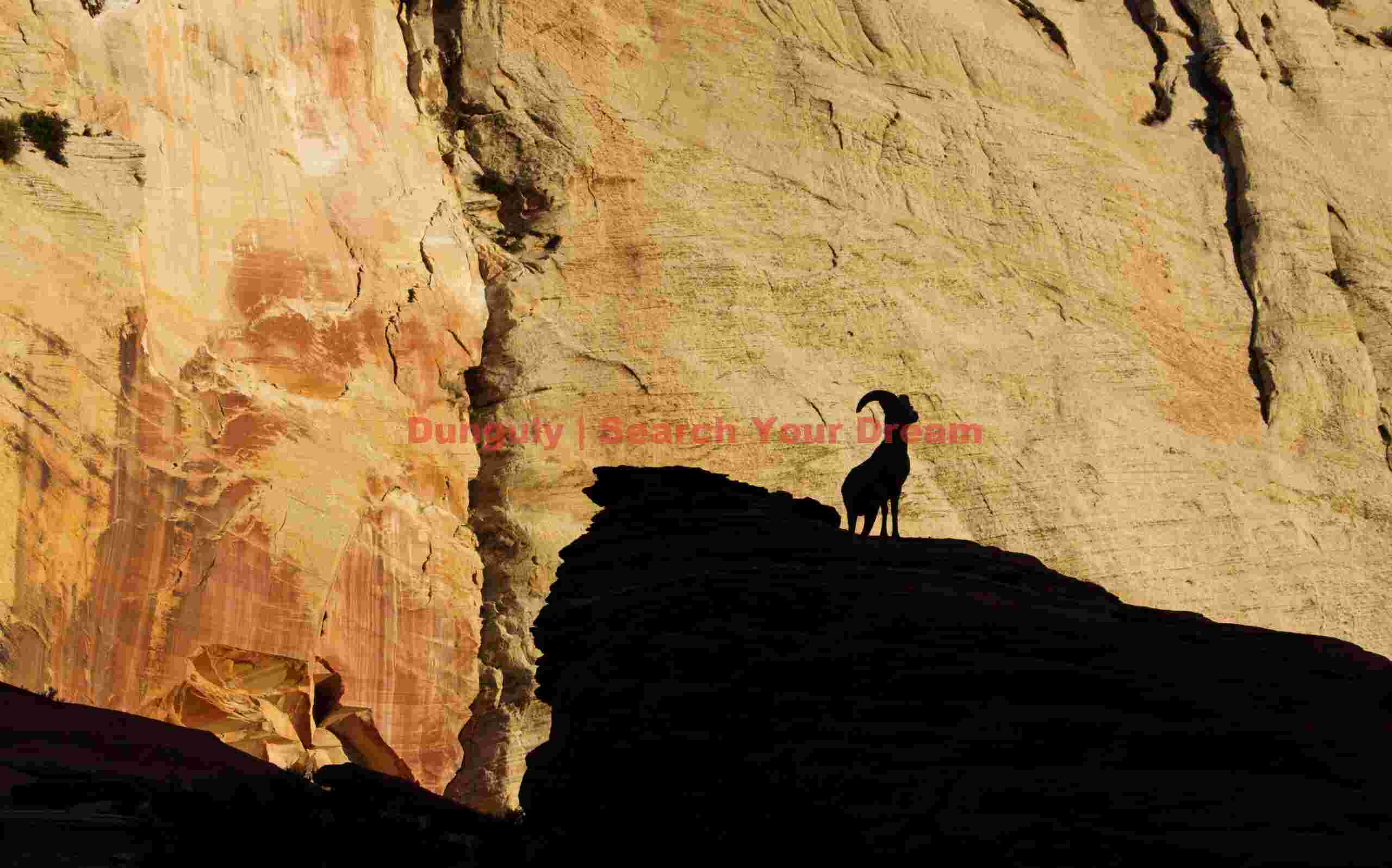 Big horn sheep sillhouette; Zion plateau Big horn sheep sillhouette; Zion plateau