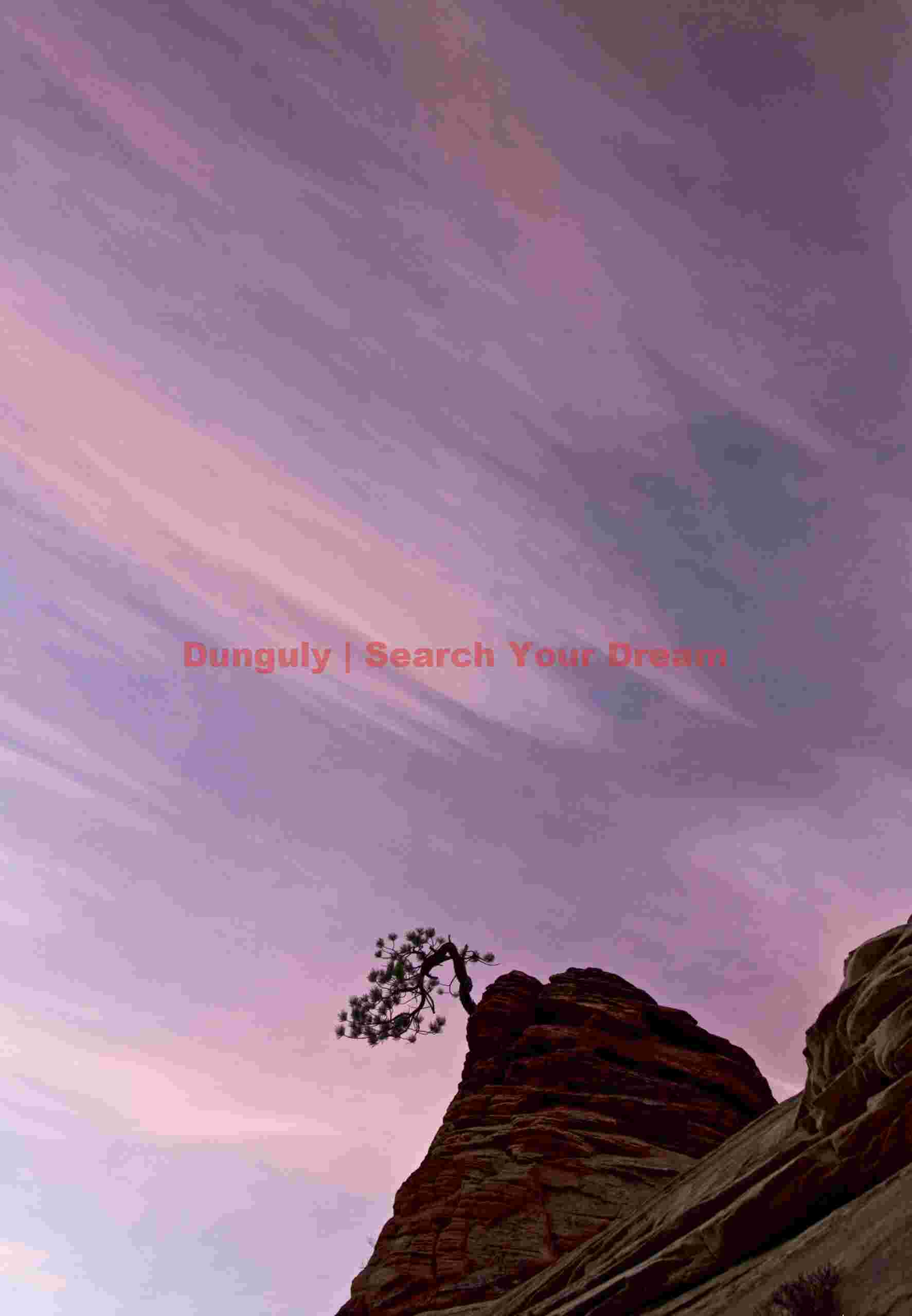 Bonsai tree and magenta sunrise clouds, Zion plateau Bonsai tree and magenta sunrise clouds, Zion plateau