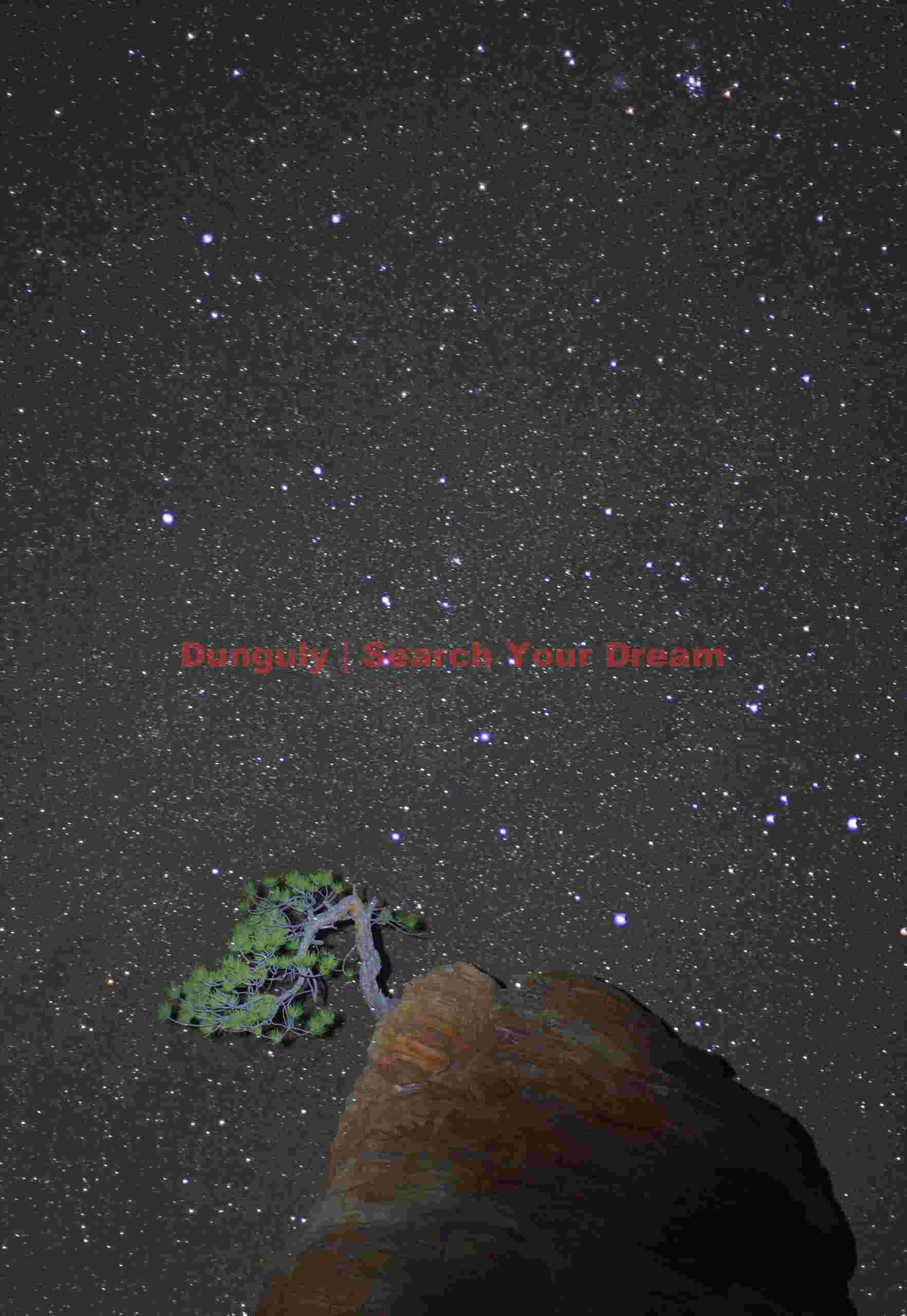 Bonsai tree and starscape, Zion Plateau Bonsai tree and starscape, Zion Plateau