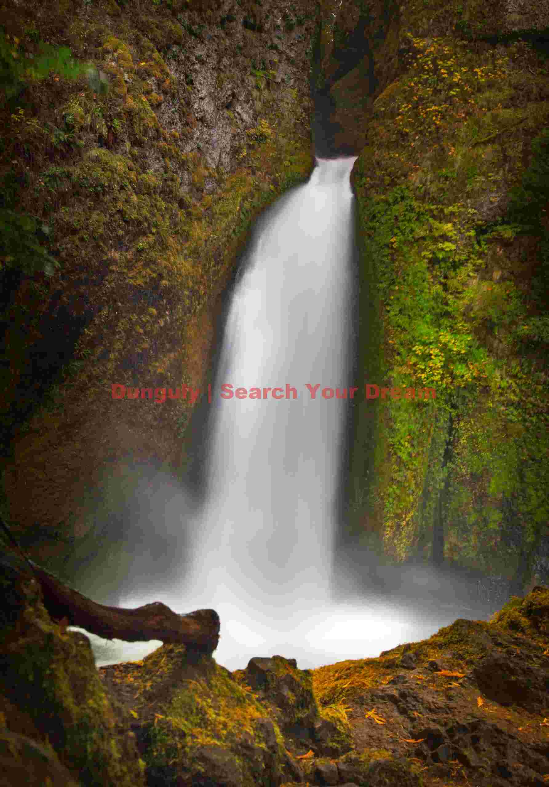 Bridal Veil falls with log, Columbia River Gorge, Oregon Bridal Veil Falls With Log, Columbia River Gorge, Oregon