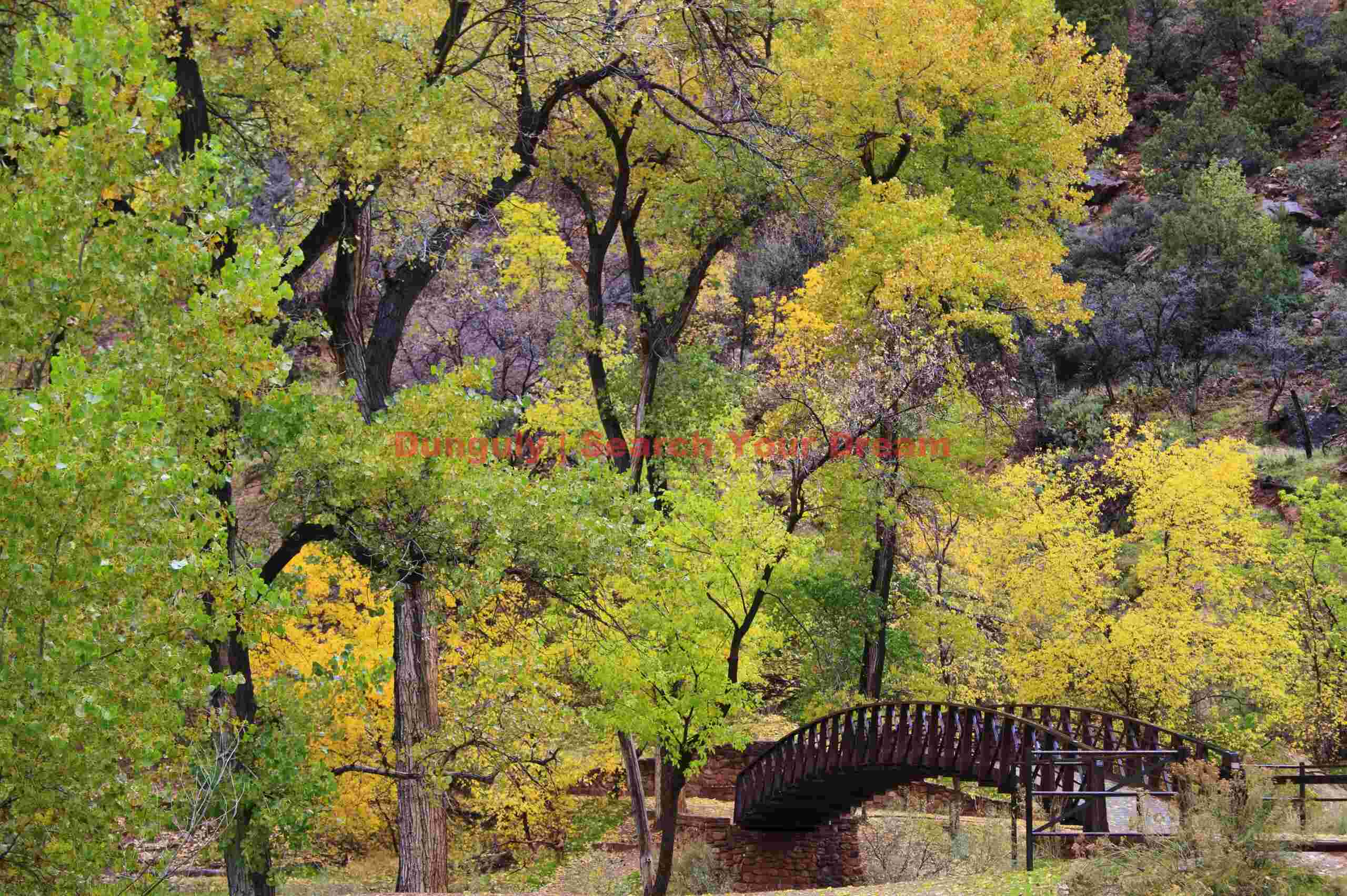 Bridge to the Emerald Pools trail; Zion Canyon Gateway to Emerald Pools