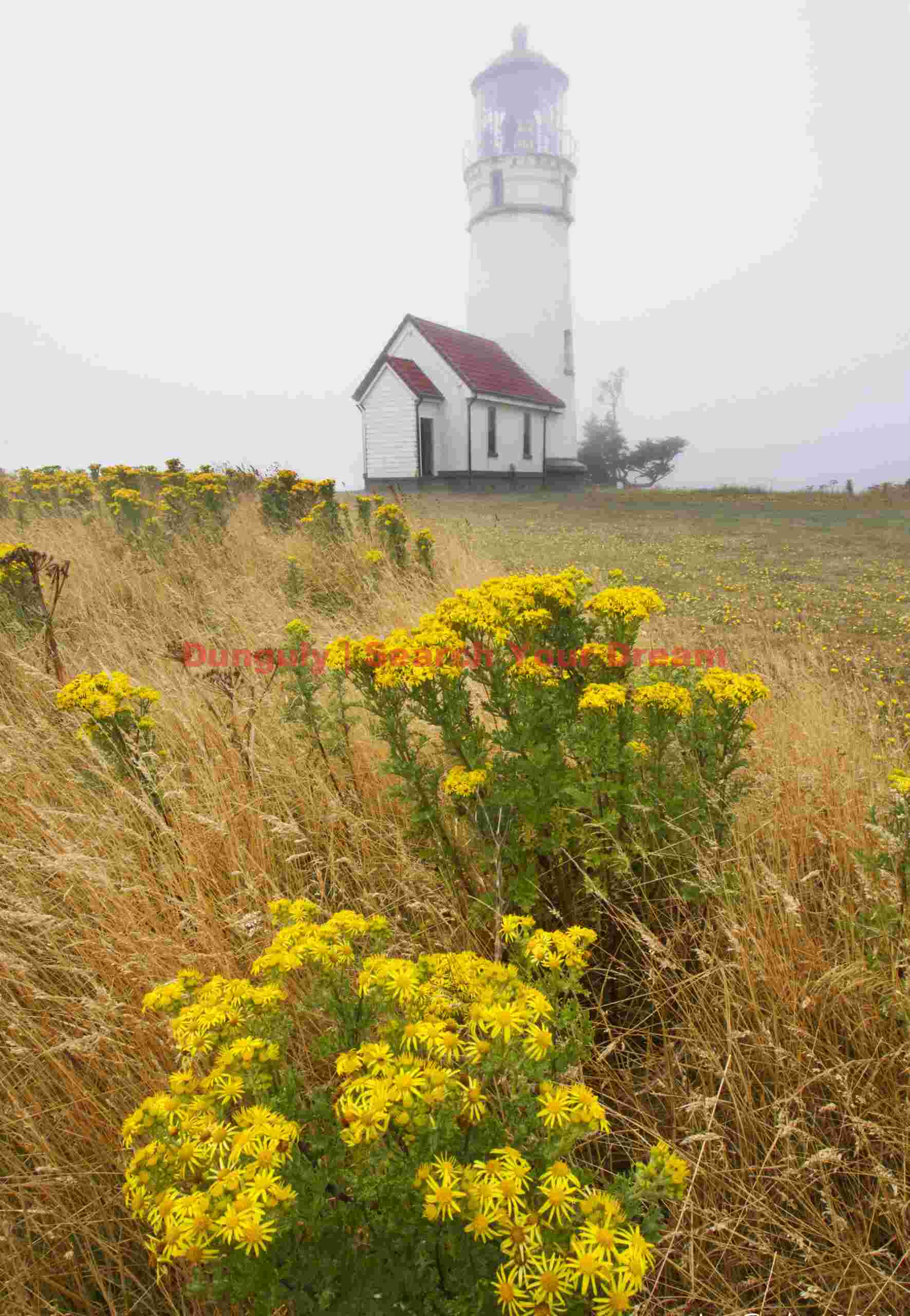 Cape Blanco Lighthouse, Oregon Coast Coastal Guardian Tower