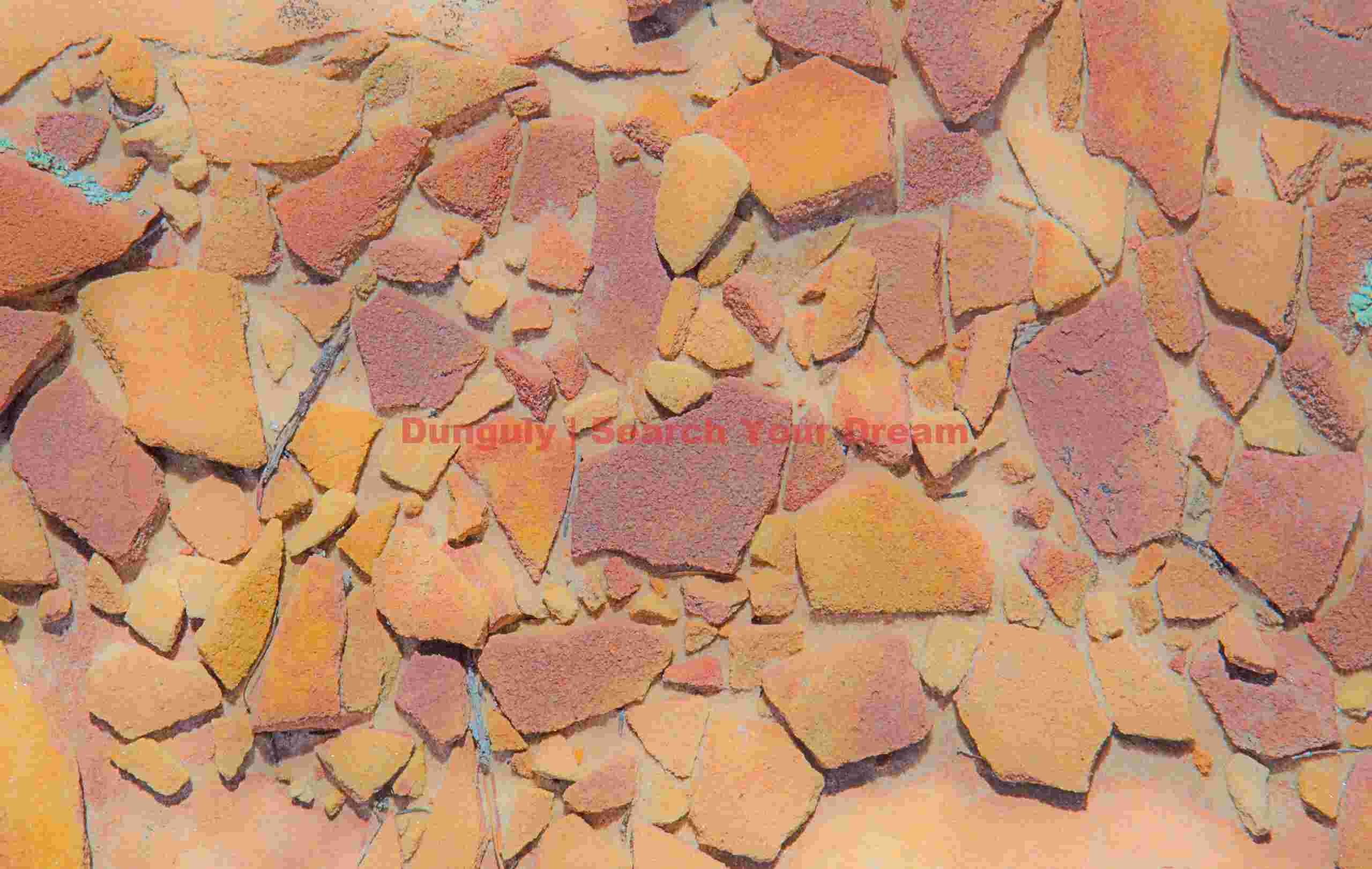 Colorful pavement; The Sand Hills, Vermillion Cliffs National Monument Nature's Abstract Canvas