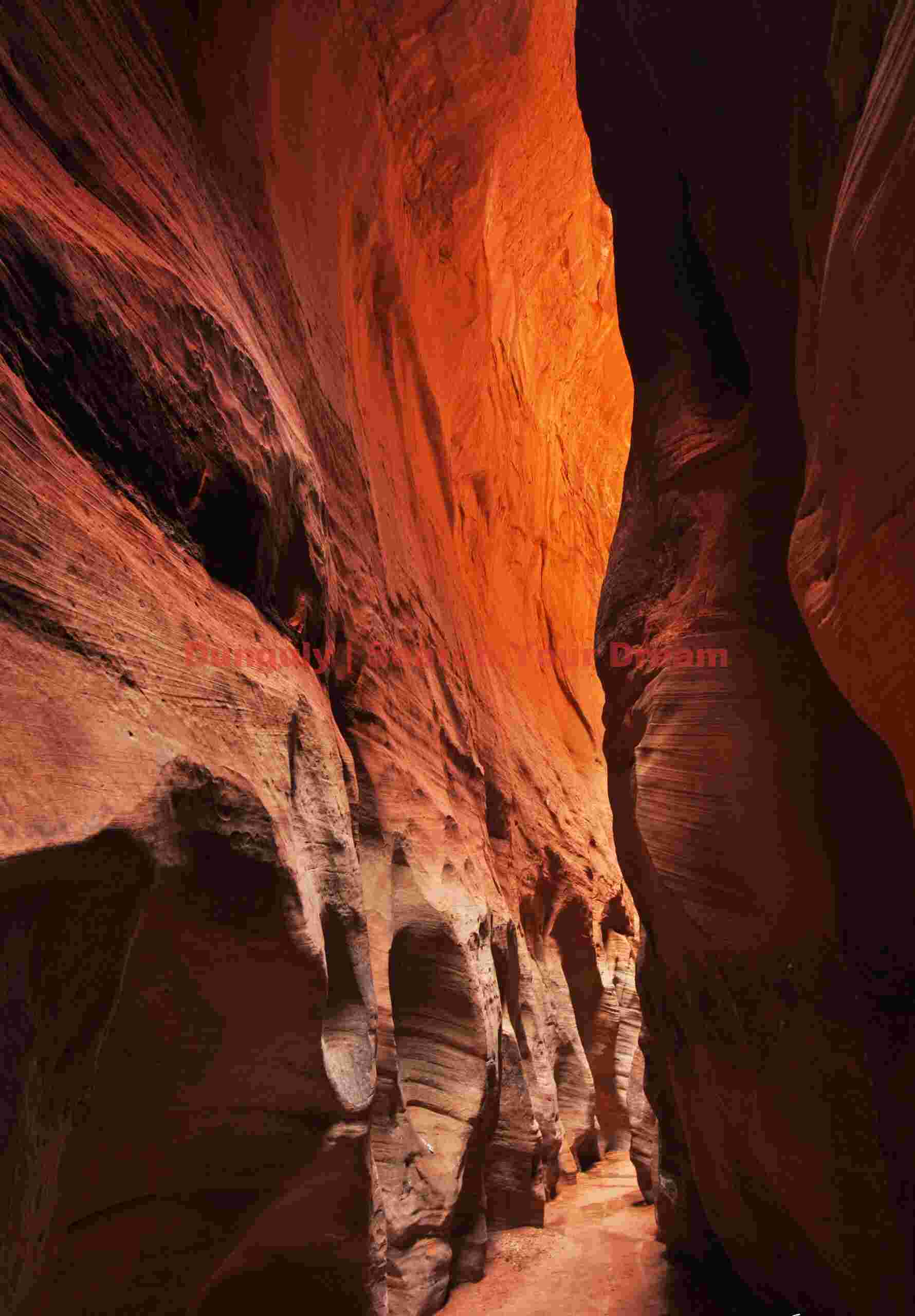 Deep in Buckskin Gulch Into the Heart of Buckskin Gulch Canyon