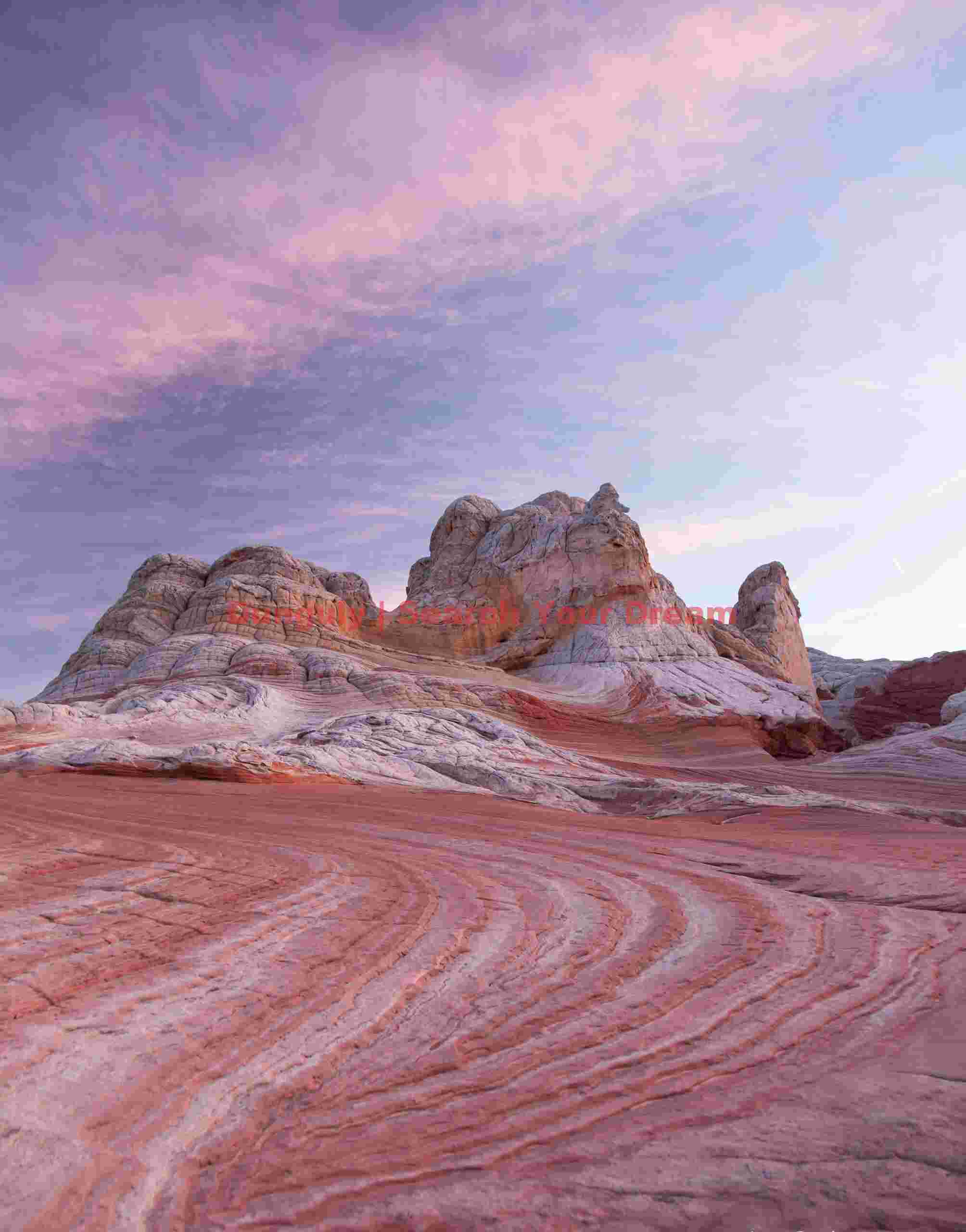 Diverging swirls, White Pocket, Arizona Diverging swirls - White Pocket - Arizona
