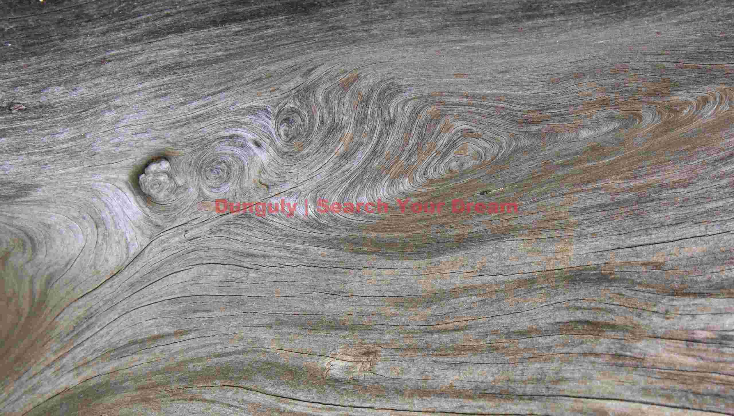 Driftwood grain patterns #2, Coquille River, Oregon Timber Pattern Study Two