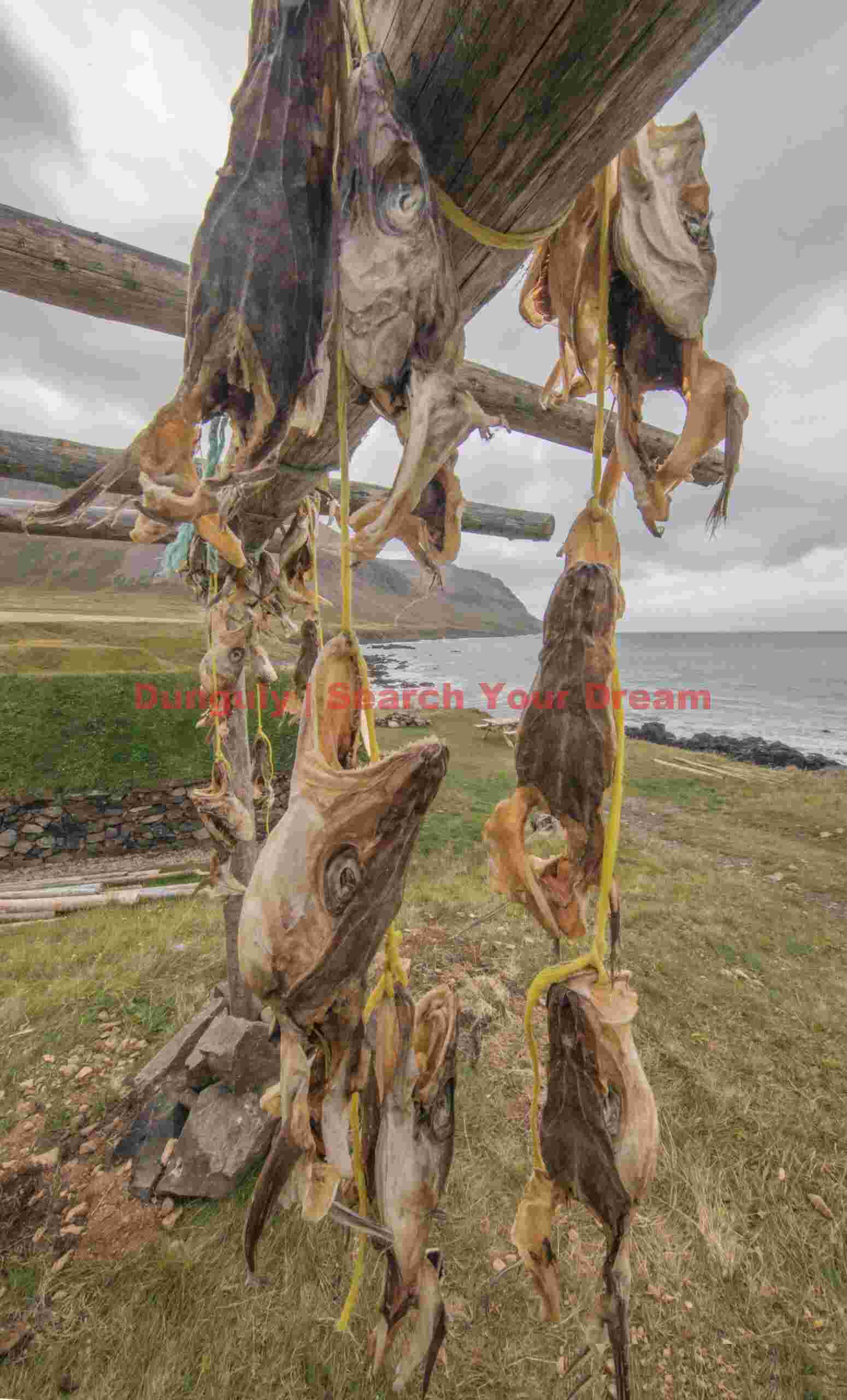 Fish hanging to dry; Iceland Glacial Ice Formation at Fish hanging to dry