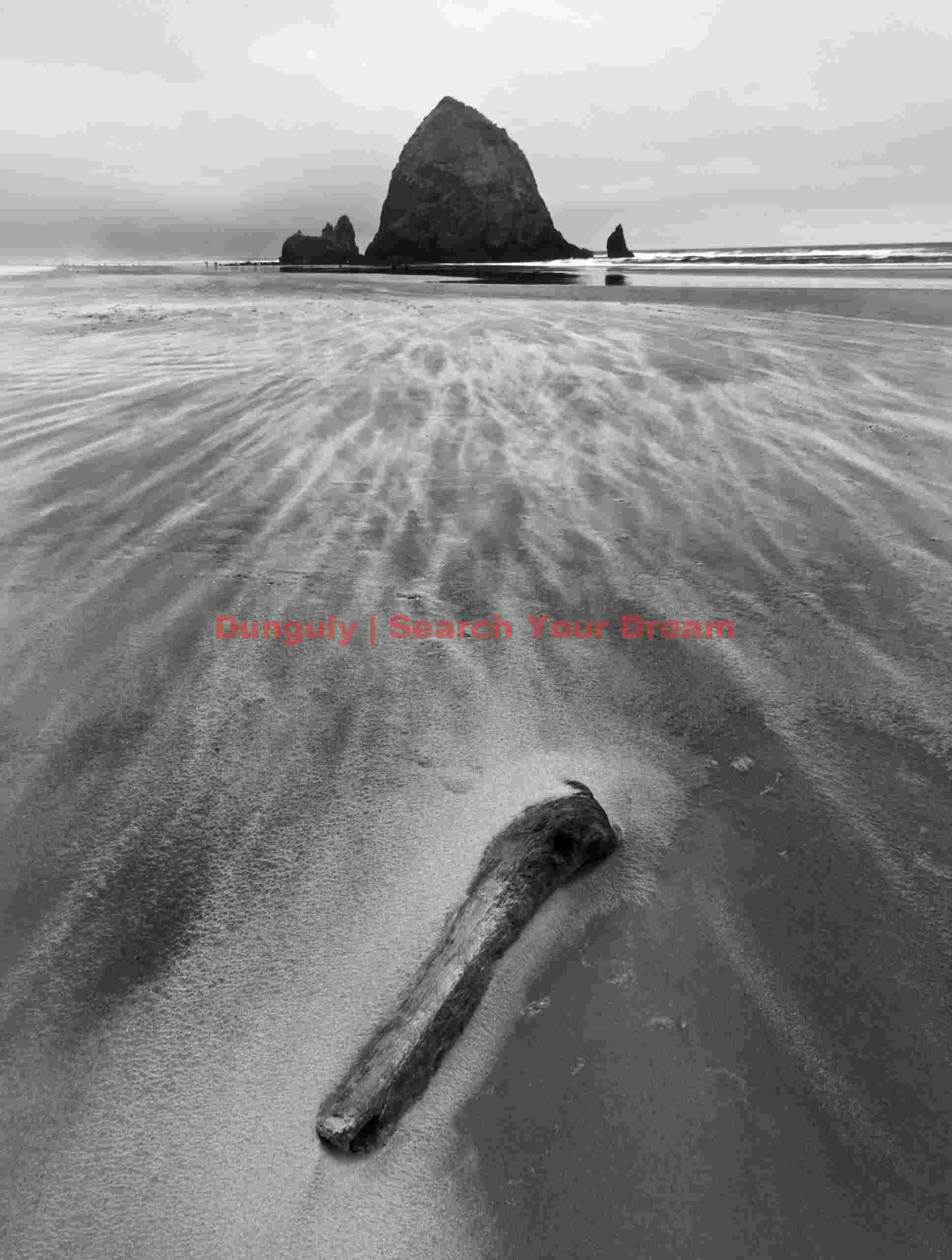 Haystack rock and wind-blown sand, Cannon Beach, Oregon Wind-Sculpted Sand Study
