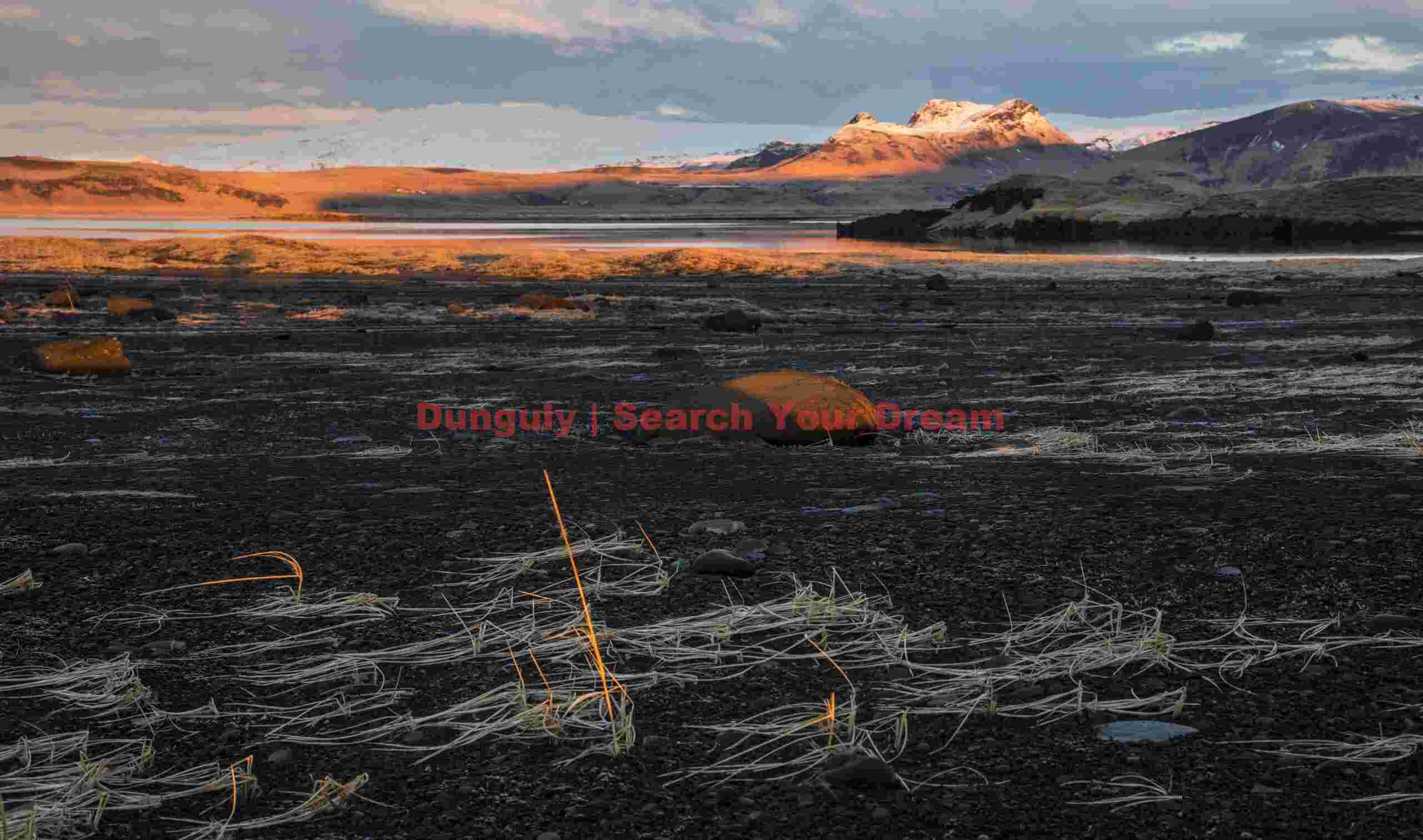 Individual grass stalks catching sunrise light; Dyrholaey beach; South Iceland Glacial Ice Formation at Individual grass stalks catching sunrise light