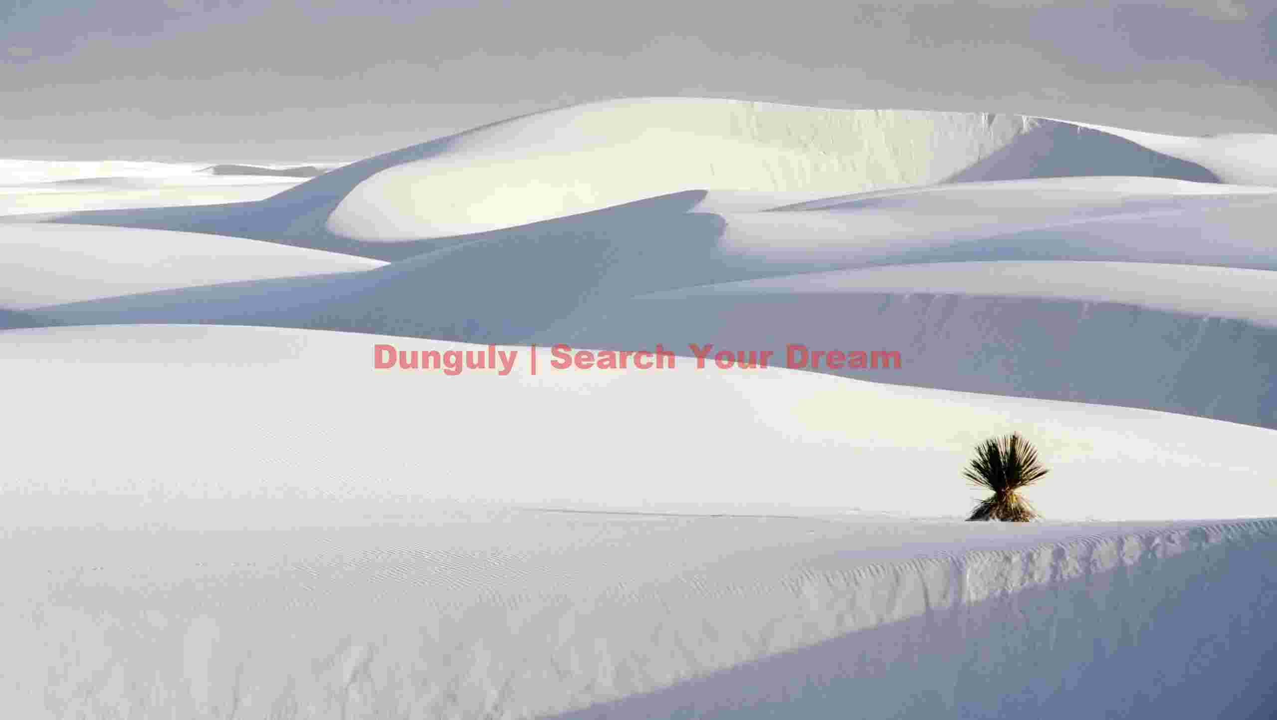 Lonely Yukka #2, White Sands Second Solitary Yucca Study in White Sands Landscape