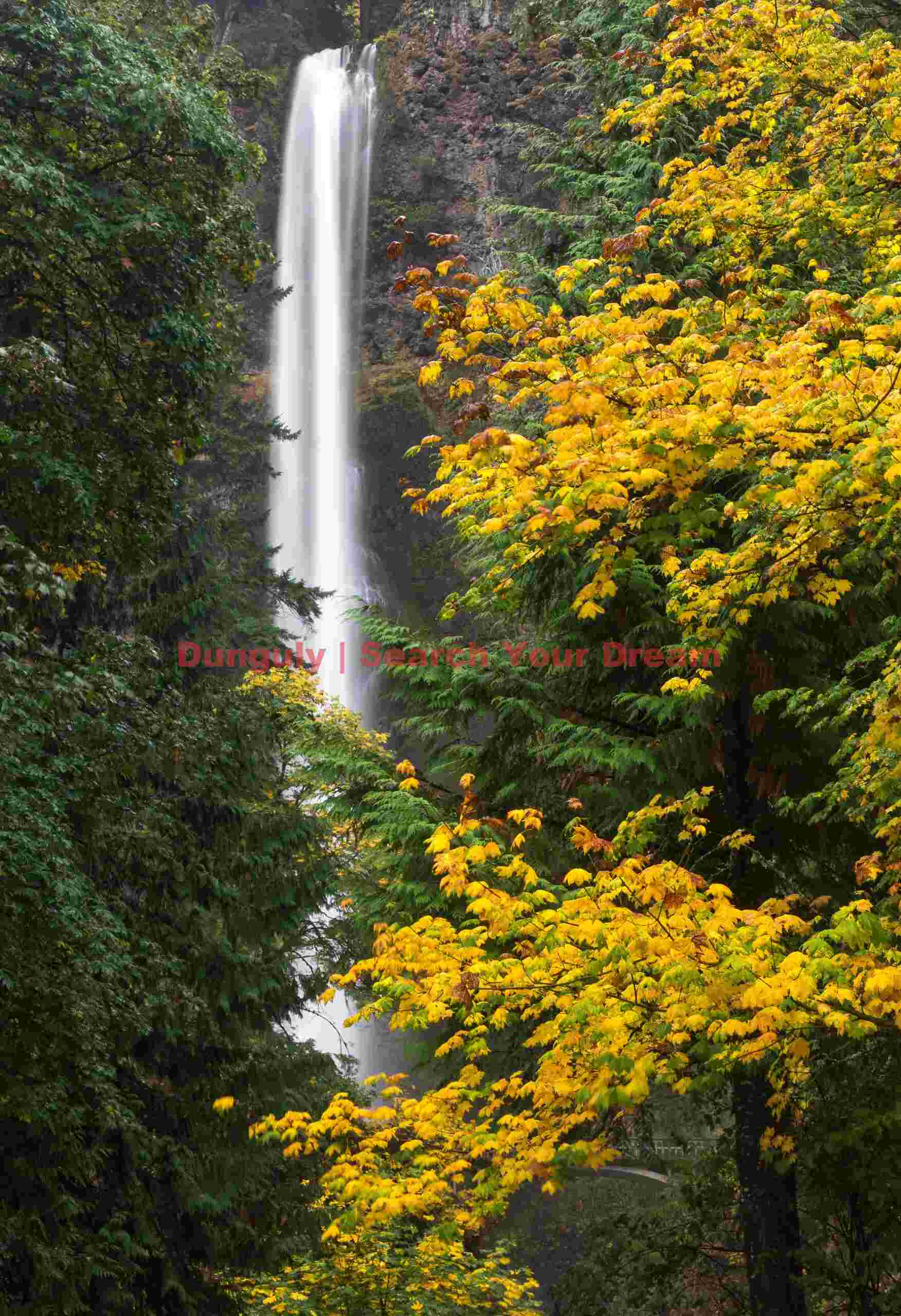 Multnomah Falls through trees, Columbia River Gorge, Oregon Multnomah Falls Through Trees, Columbia River Gorge, Oregon