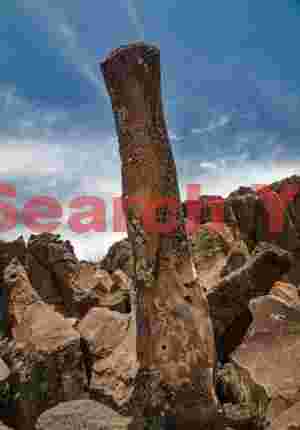 Pinnacle Petroglyph #2 at Nampaweap