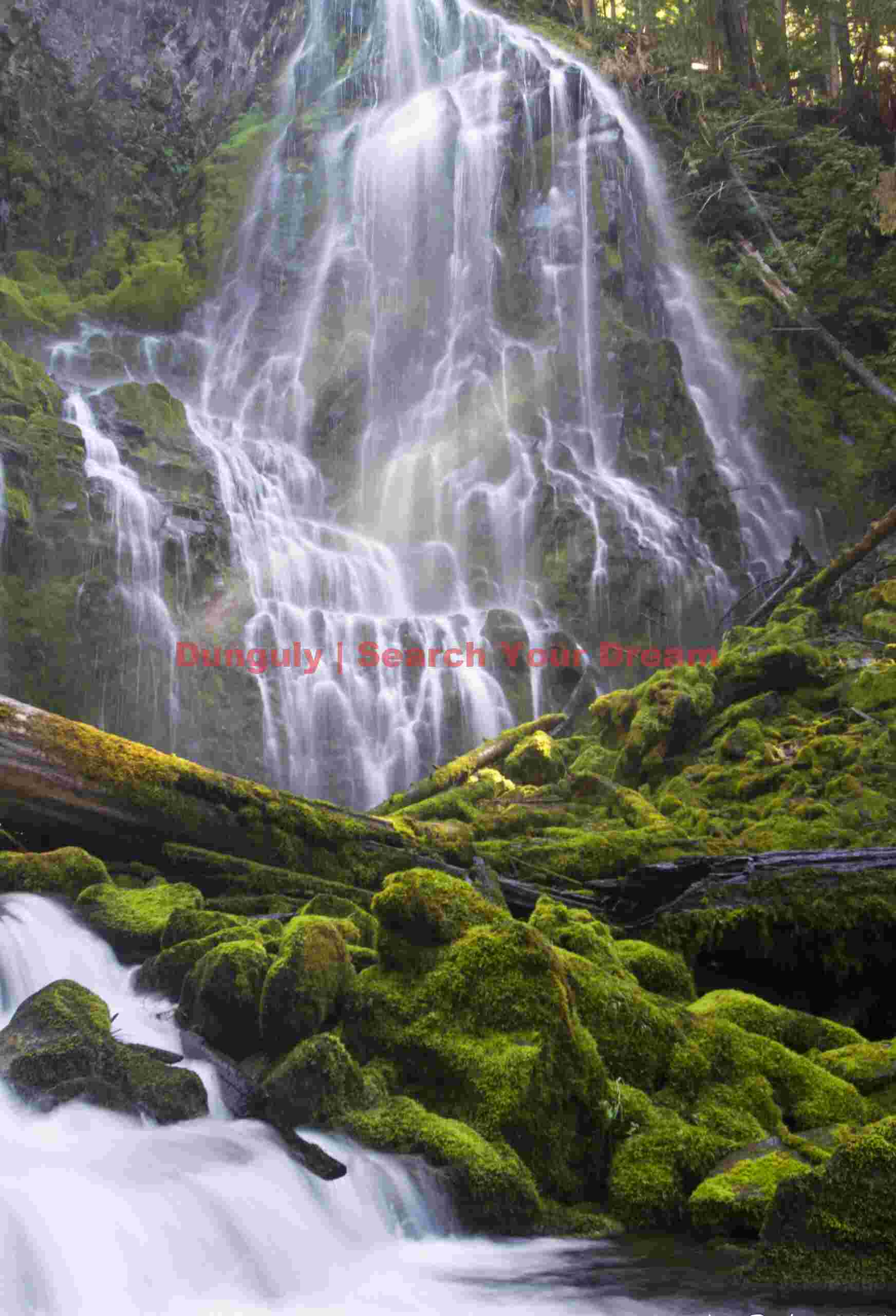 Proxy Falls, Central Cascades, Oregon Cascading Emerald Falls