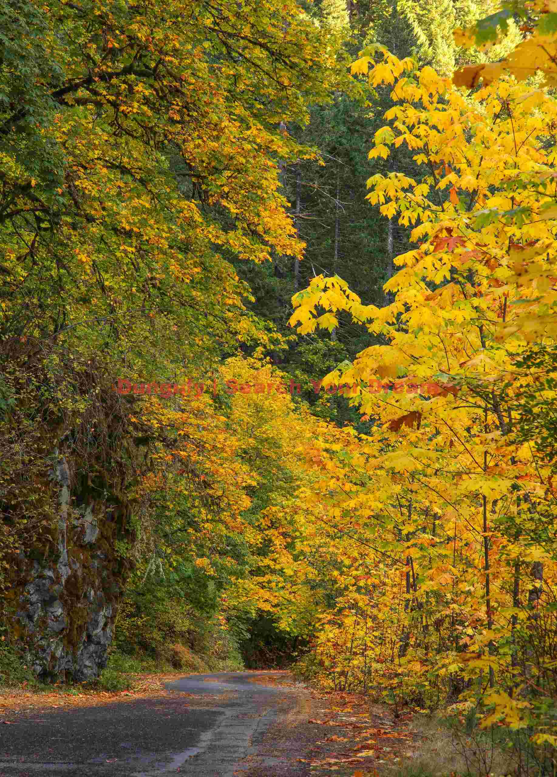 Road to Eagle Creek trailhead, Columbia River Gorge, Oregon Road To Eagle Creek Trailhead, Columbia River Gorge, Oregon