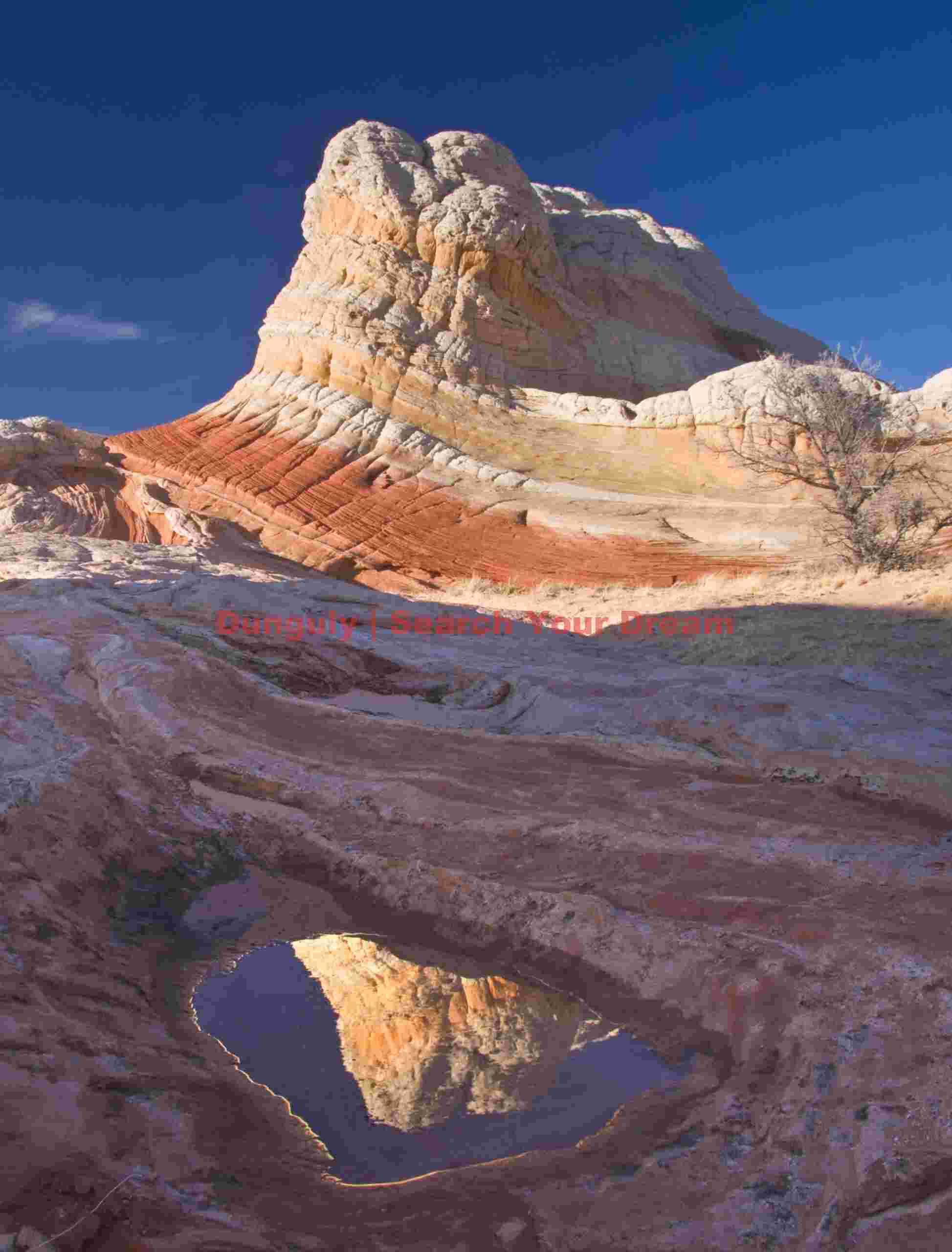 Sandstone gone wild, small pool reflection, White Pocket, Arizona Sandstone gone wild - small pool reflection - White Pocket - Arizona