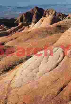 Sandstone whorl - Yant Flat - Utah