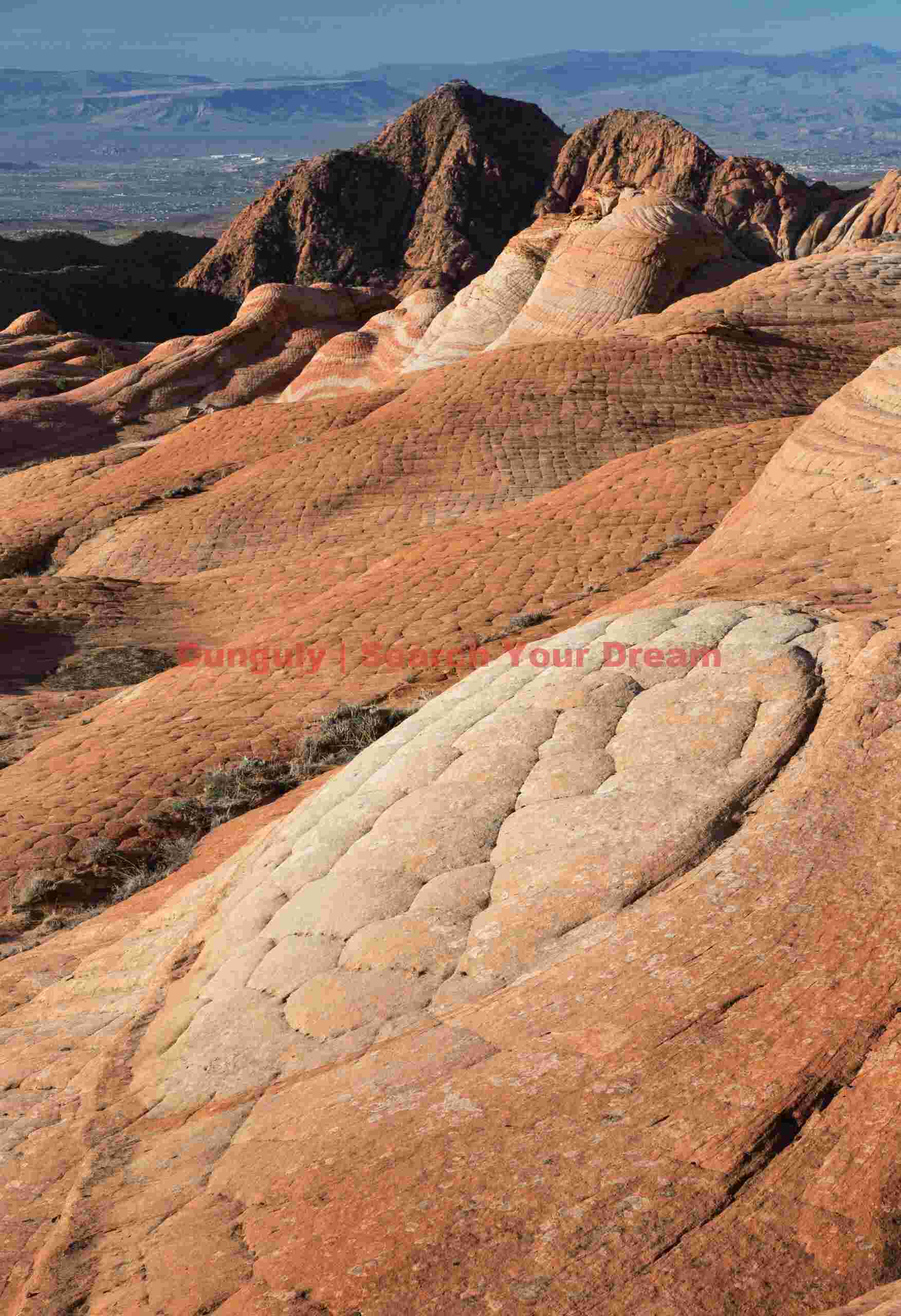 Sandstone whorl, Yant Flat, Utah Sandstone whorl - Yant Flat - Utah