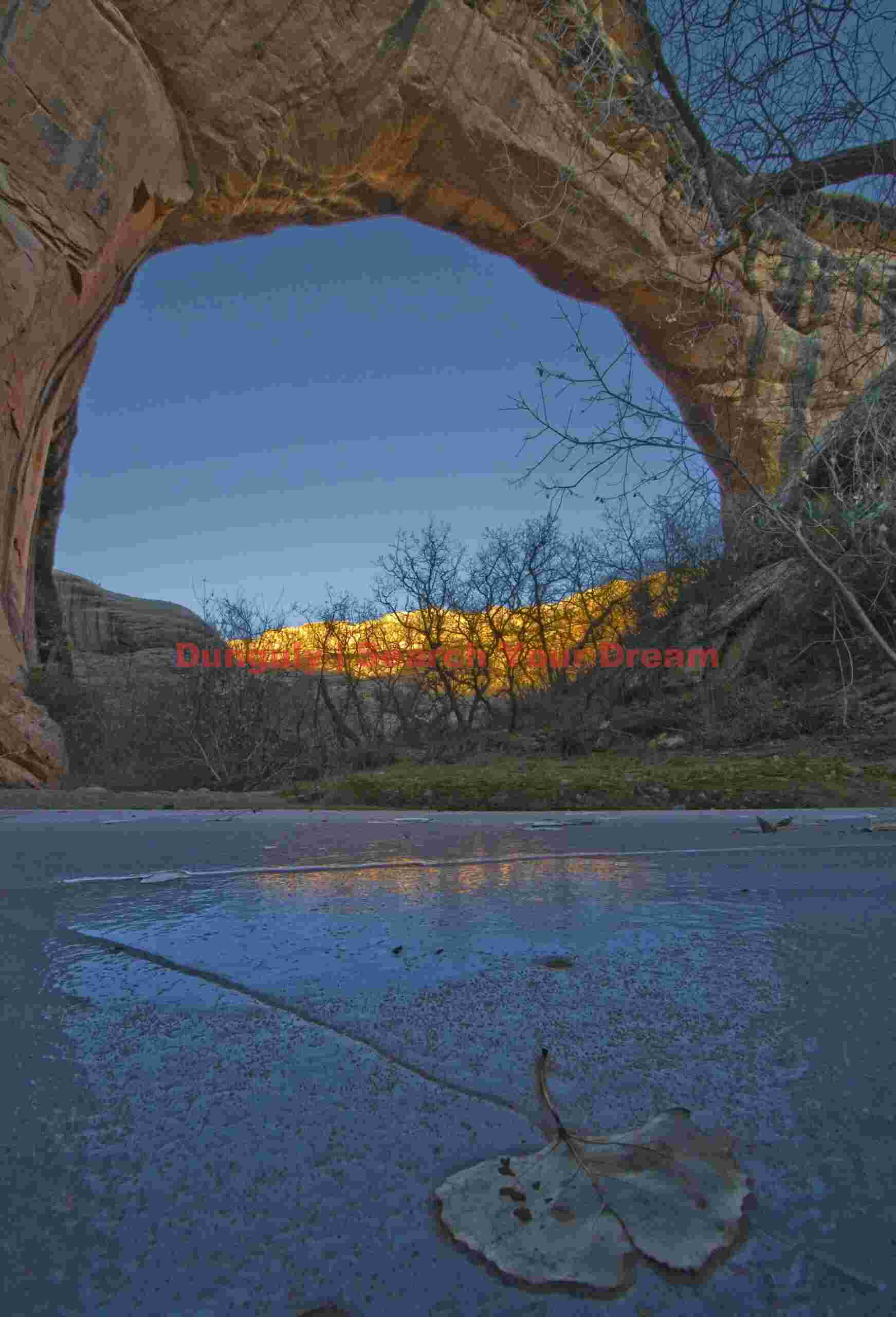 Sipapu Bridge ; Ice reflections and leaf Sipapu Bridge with Ice Reflections and Fallen Leaf