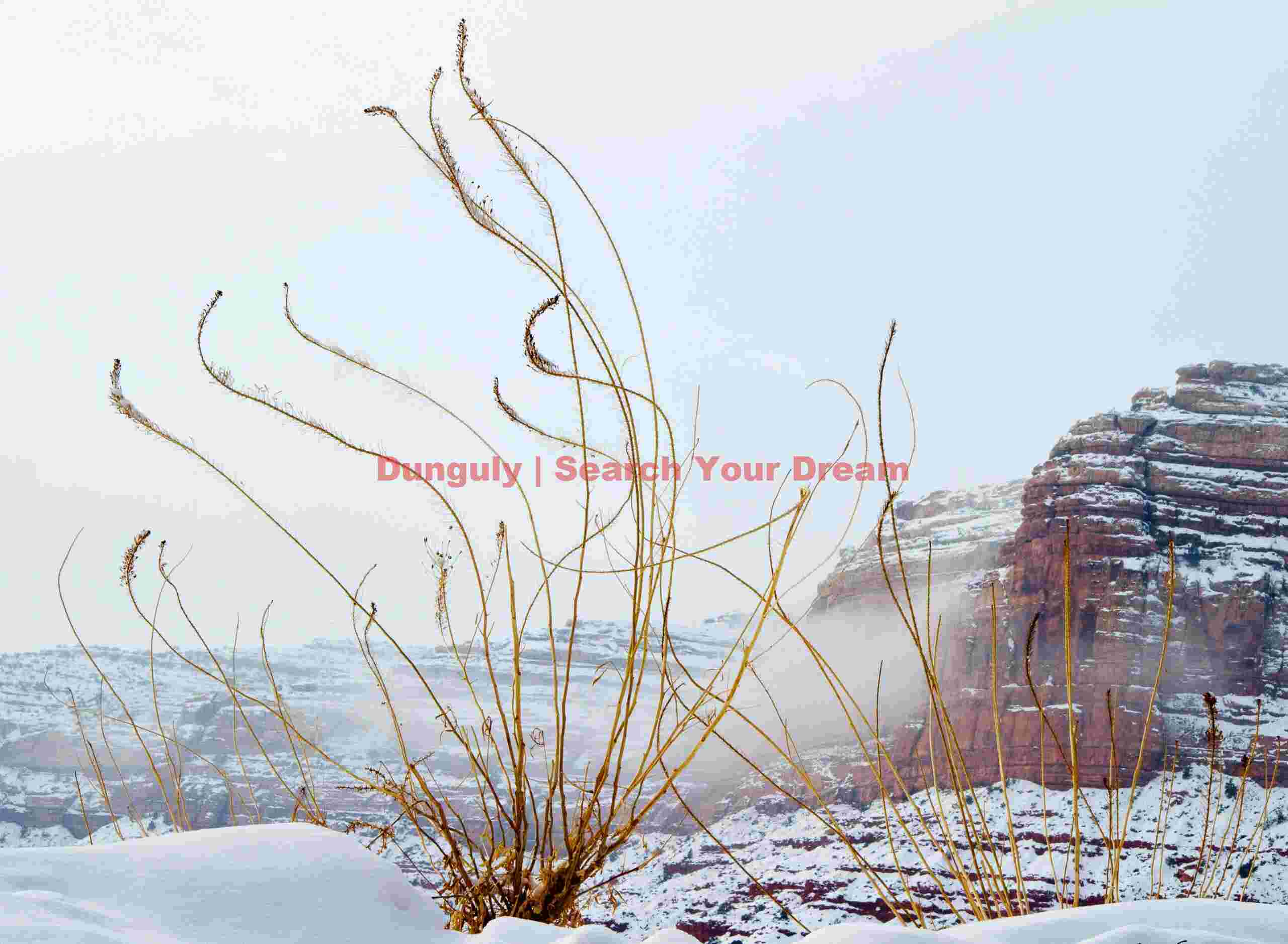 Squiggles! Moki Dugway Squiggles! Moki Dugway
