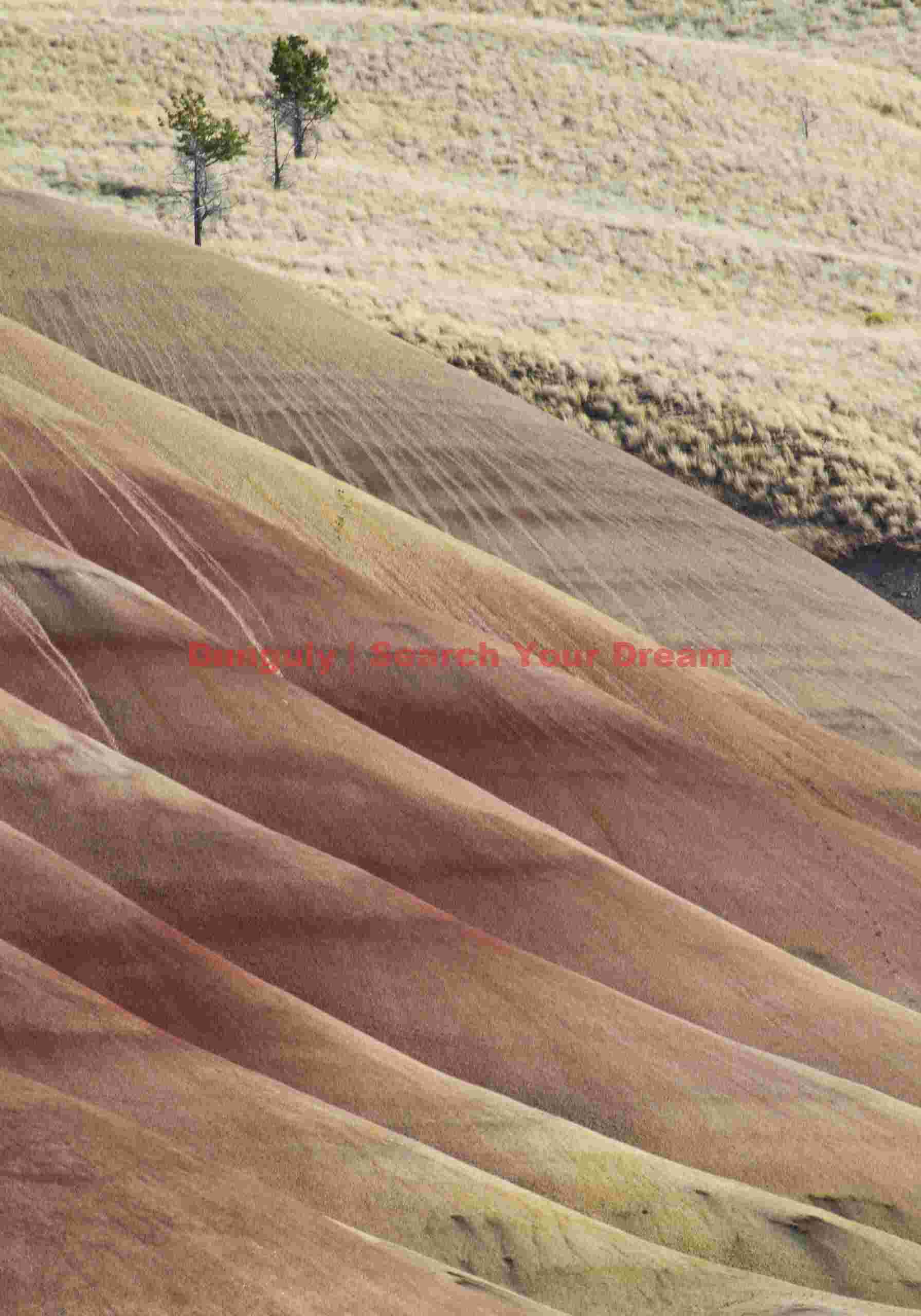 Stripes and trees, Painted Hills, Oregon Forest and Formation Blend