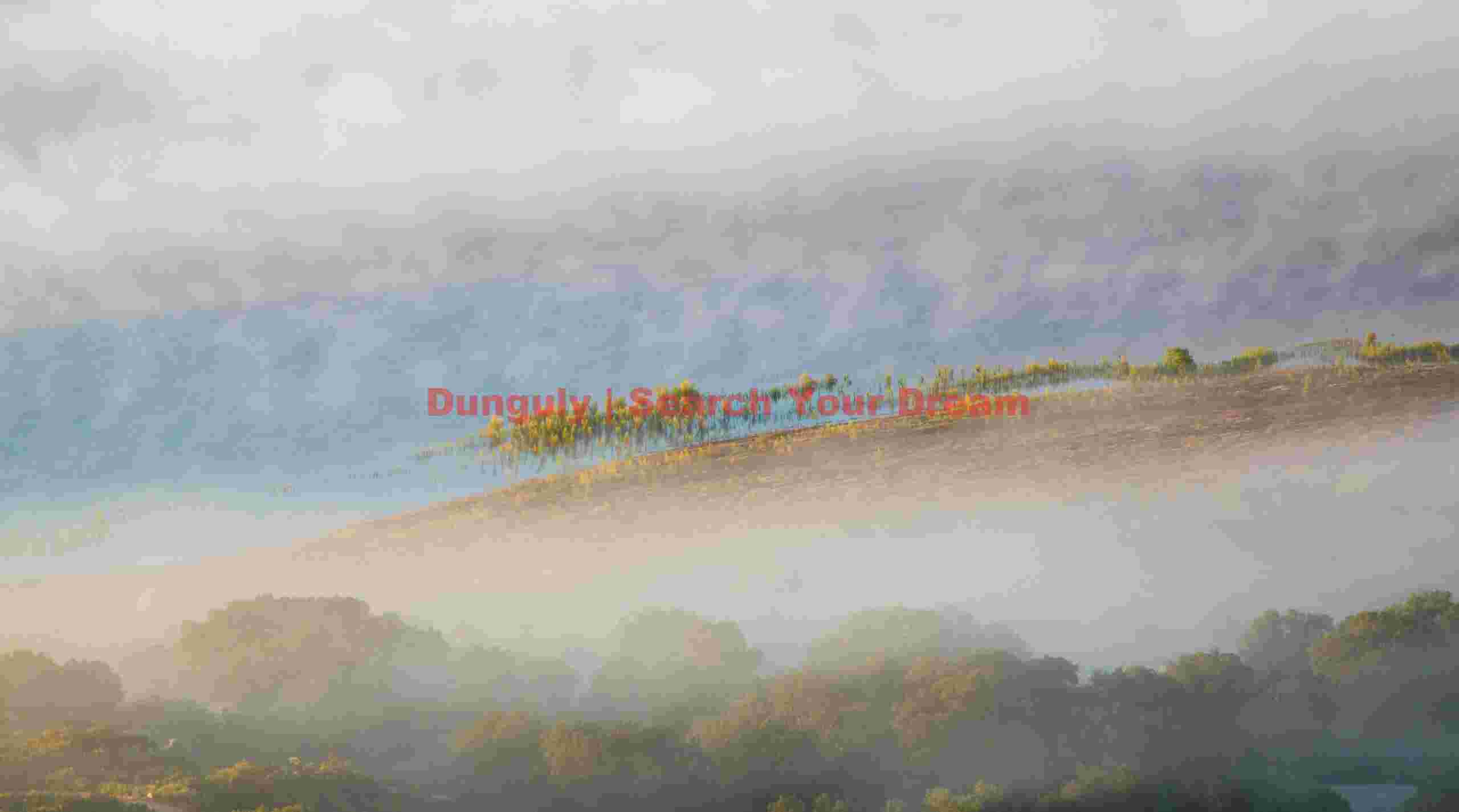 Trees along the shoreline in fog, Lake Henshaw Shoreline Sentinels