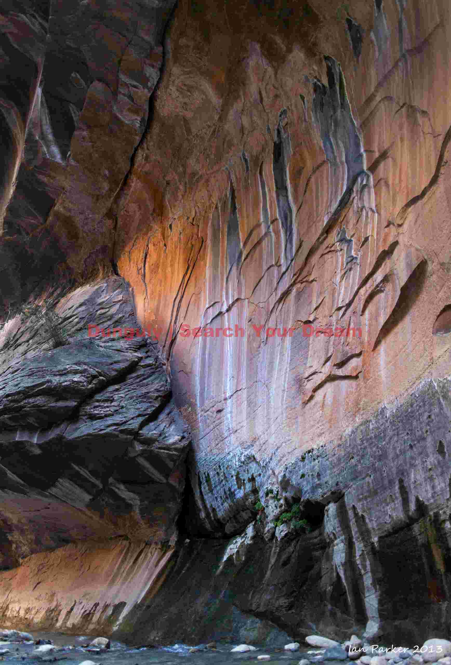 Water stripes, Virgin Narrows, Zion N.P. Water Stripes in the Virgin River Narrows