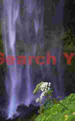 Cascading Southern Sentinel