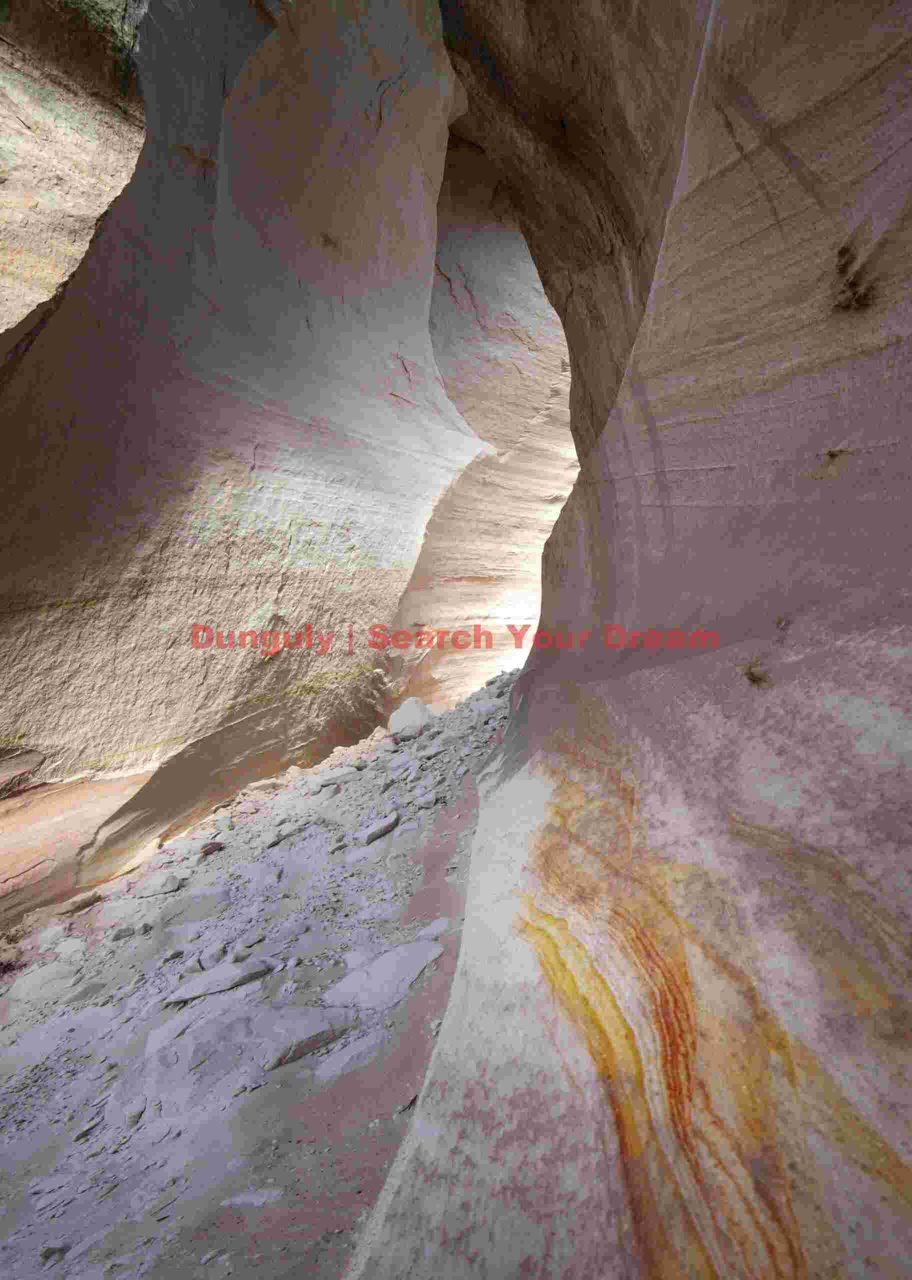 Yellow ripple patterns and rockfall; The Nautilus, White House trailhead Golden Waves of Rippled Stone Desert