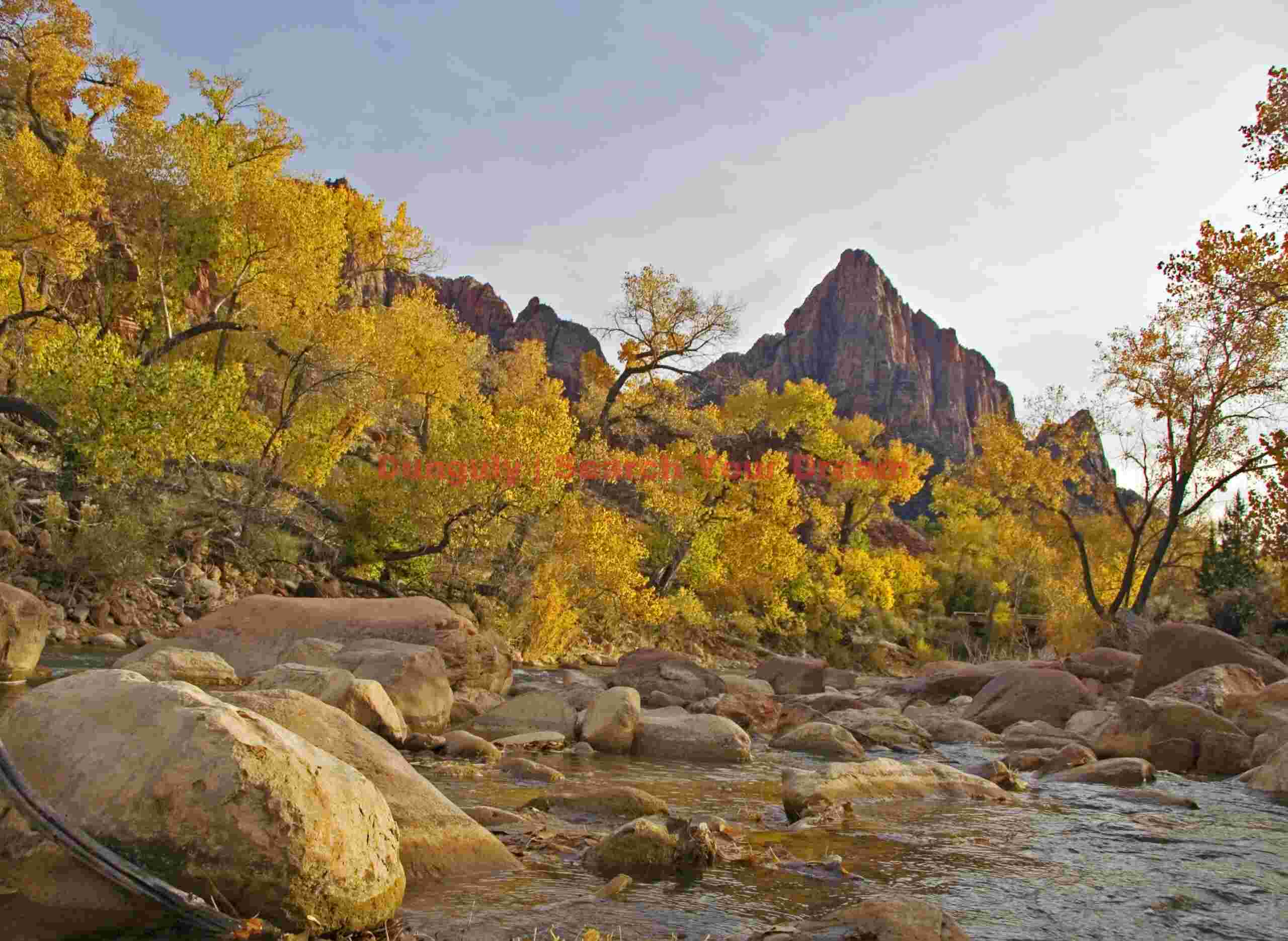 Zion - Fall color along the Virgin River Autumn Colors Along the Virgin River