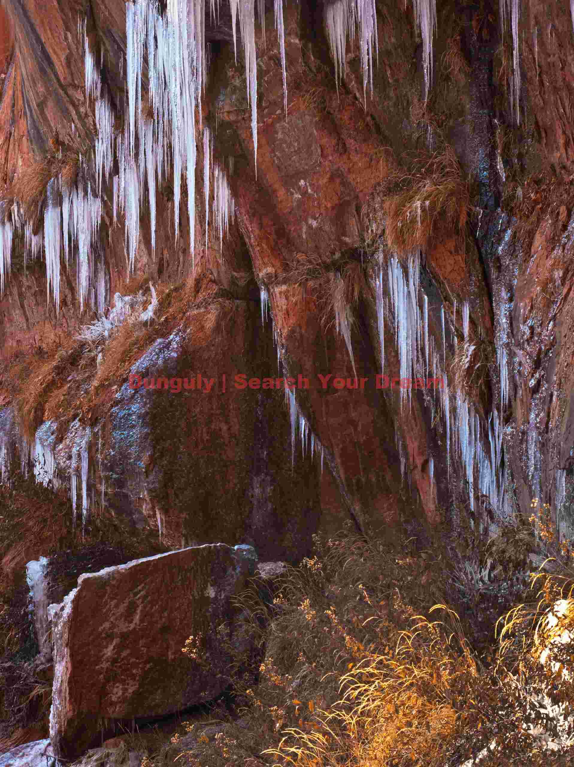 Zion - icicles at lower Emerald Pools Hanging Icicles at Lower Emerald Pools