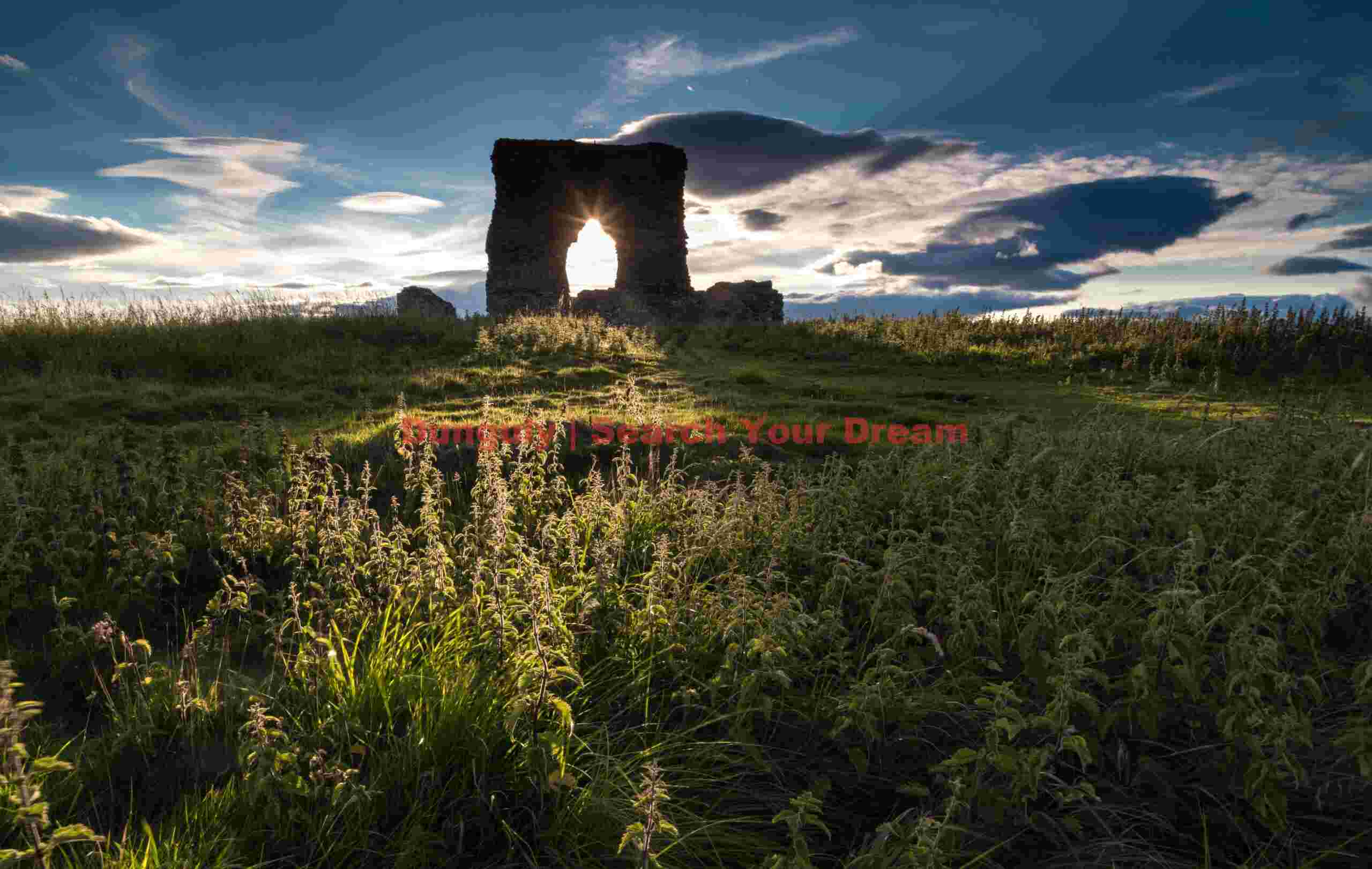Backlit grasses through the arch; Dunnideer Castle, Aberdeenshire Backlit grasses through the arch