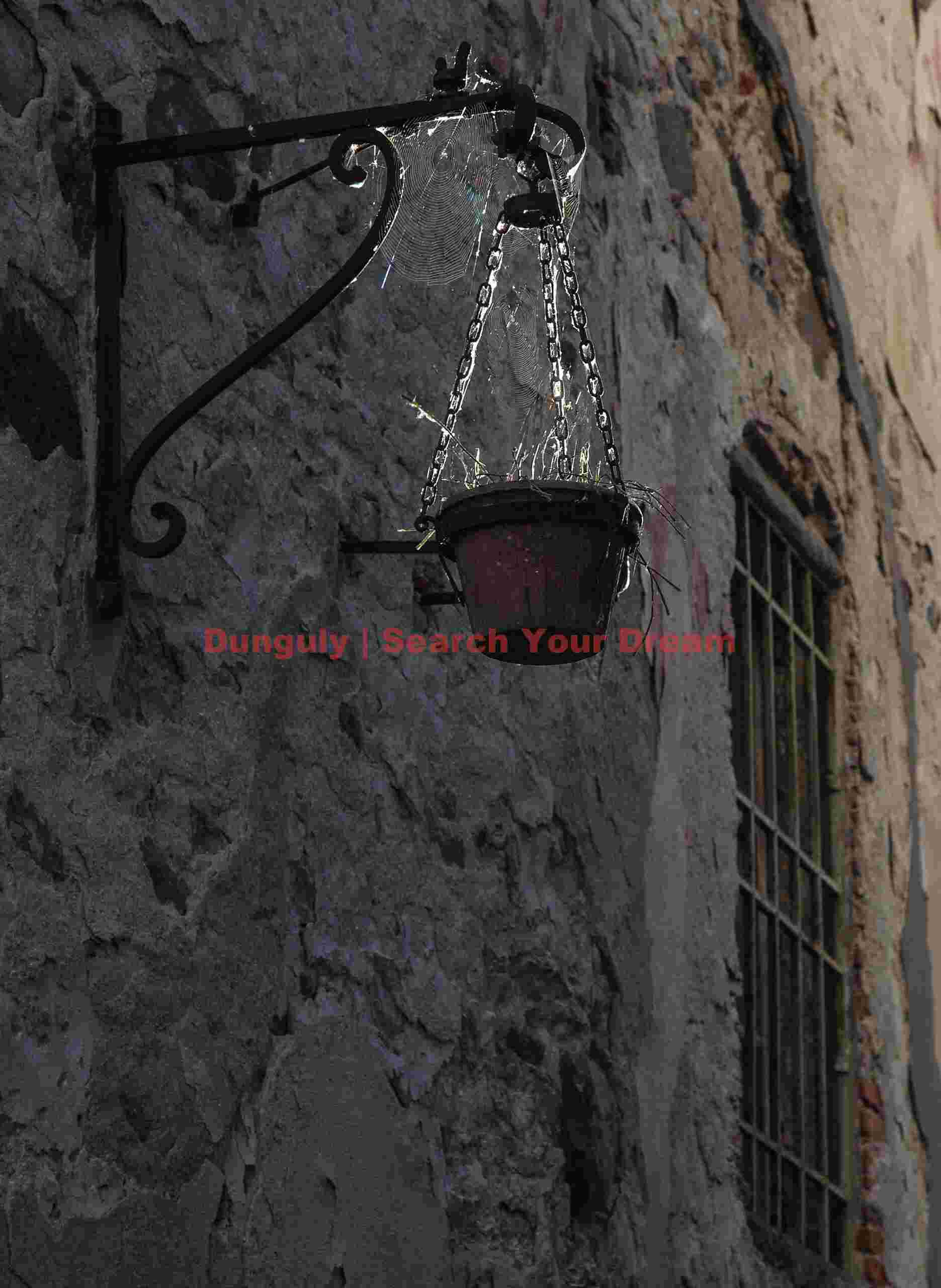 Cobwebbed flowerpot; Barga, Tuscany Cobwebbed flowerpot