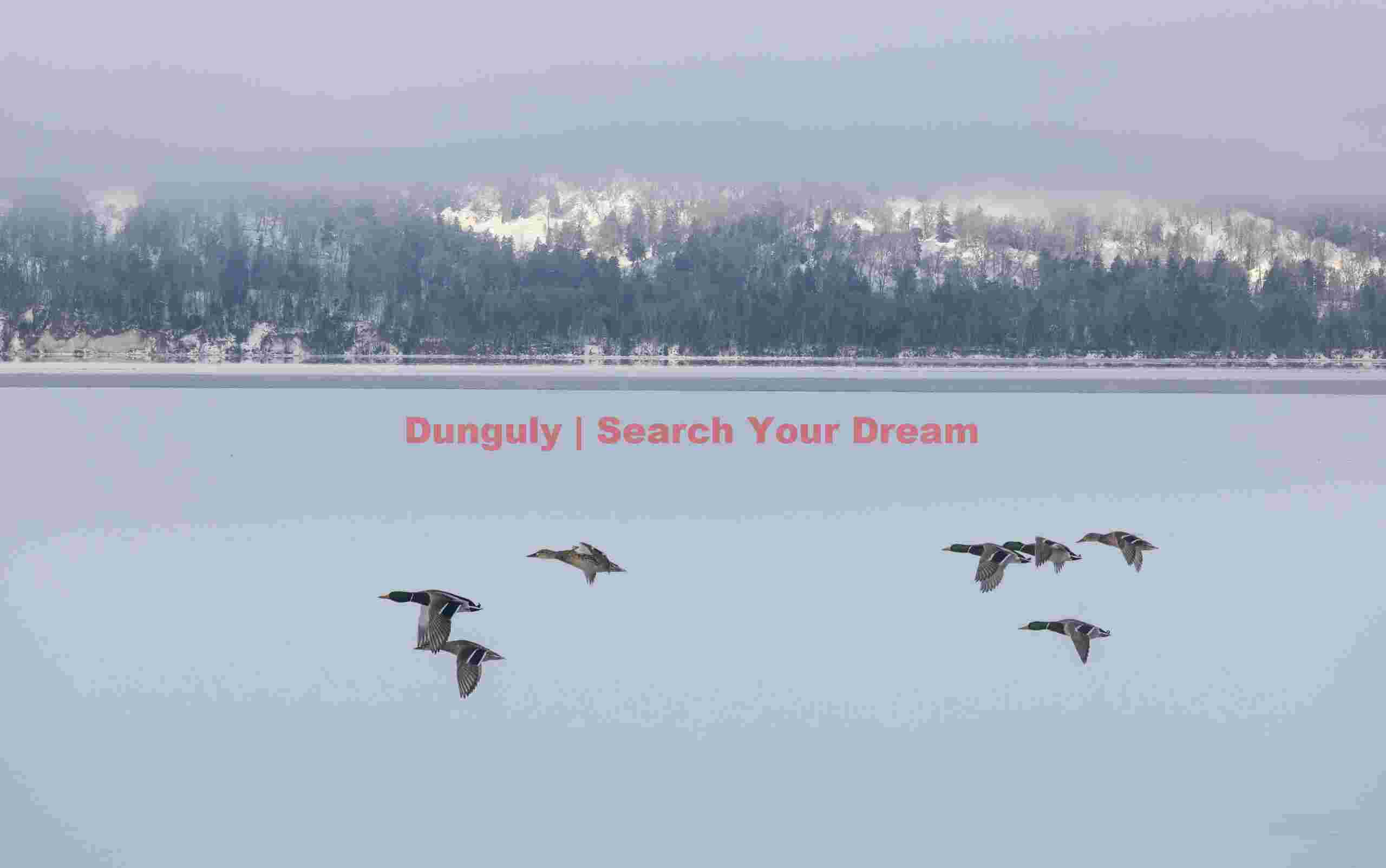 Ducks flying over iced lake; Lake Kussharo, Hokkaido Ducks flying over iced lake