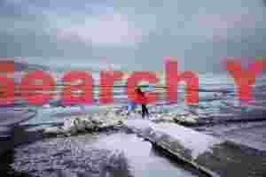 Feeding the whooper swans in snowstorm
