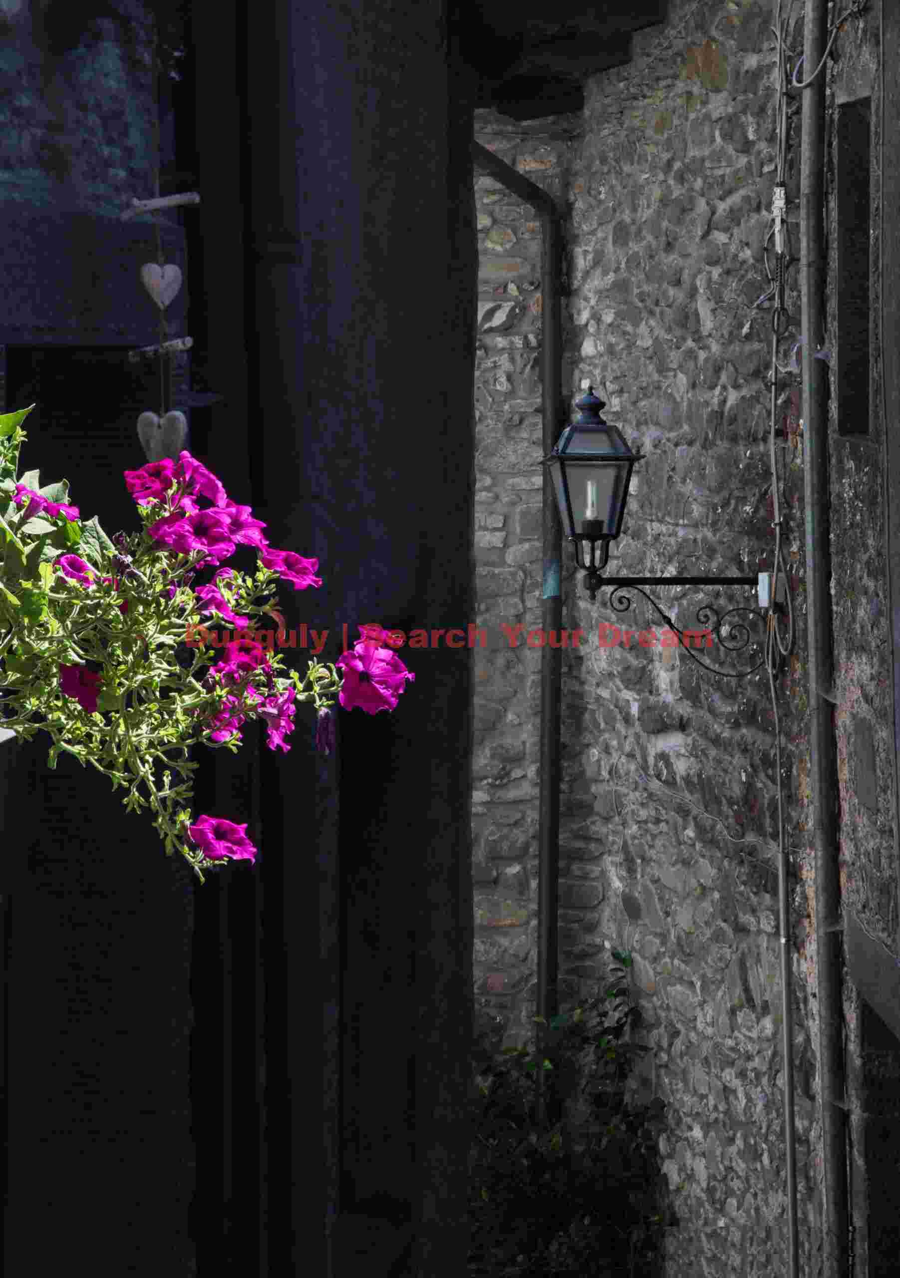 Flowers and streetlamp; Barga, Tuscany Flowers and streetlamp