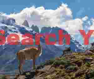 Guanaco and Torres