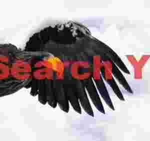 Head portrait of Steller's eagle against outstretched wing