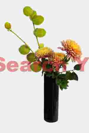 Ikebana #1
