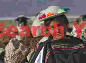 Llama Herder