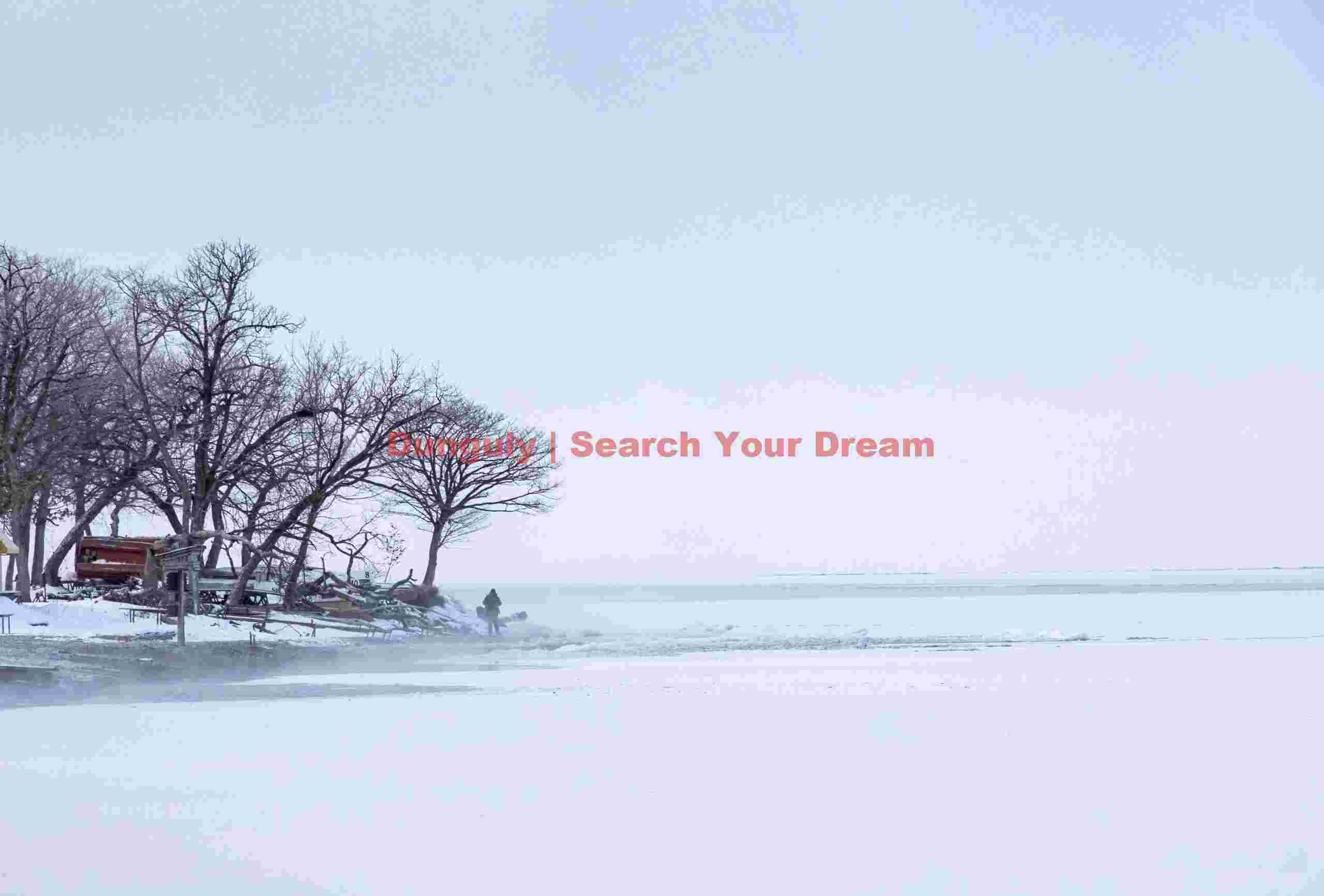 Lone figure by frozen lake in near whiteout; Lake Kussharo, Hokkaido Lone figure by frozen lake in near whiteout