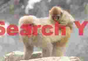 Mother carrying baby on back with staemy background