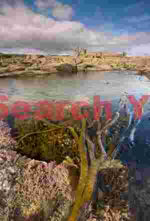 Northumbria