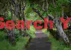 Path and gate