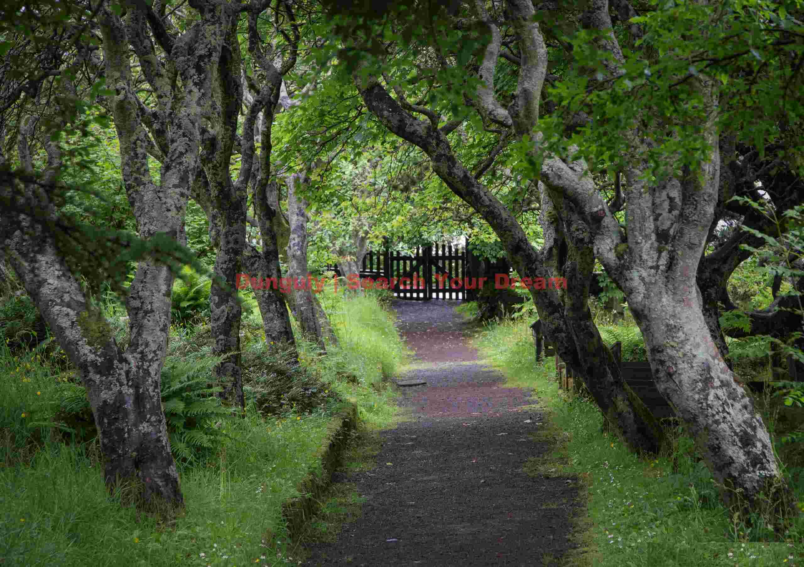 Path and gate; Old graveyard, Tórshavn, Faroe Islands Path and gate